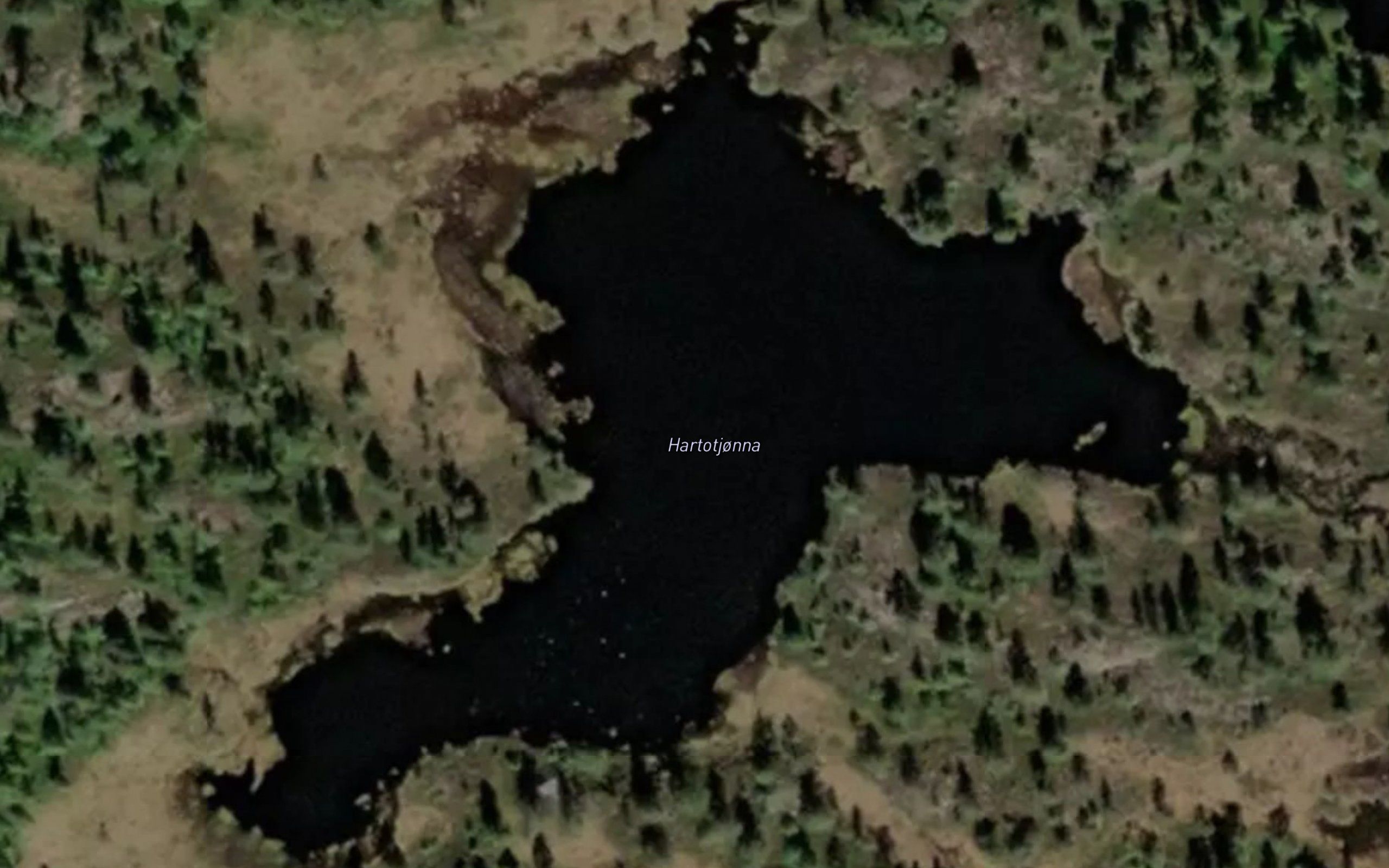 Hartotjonna