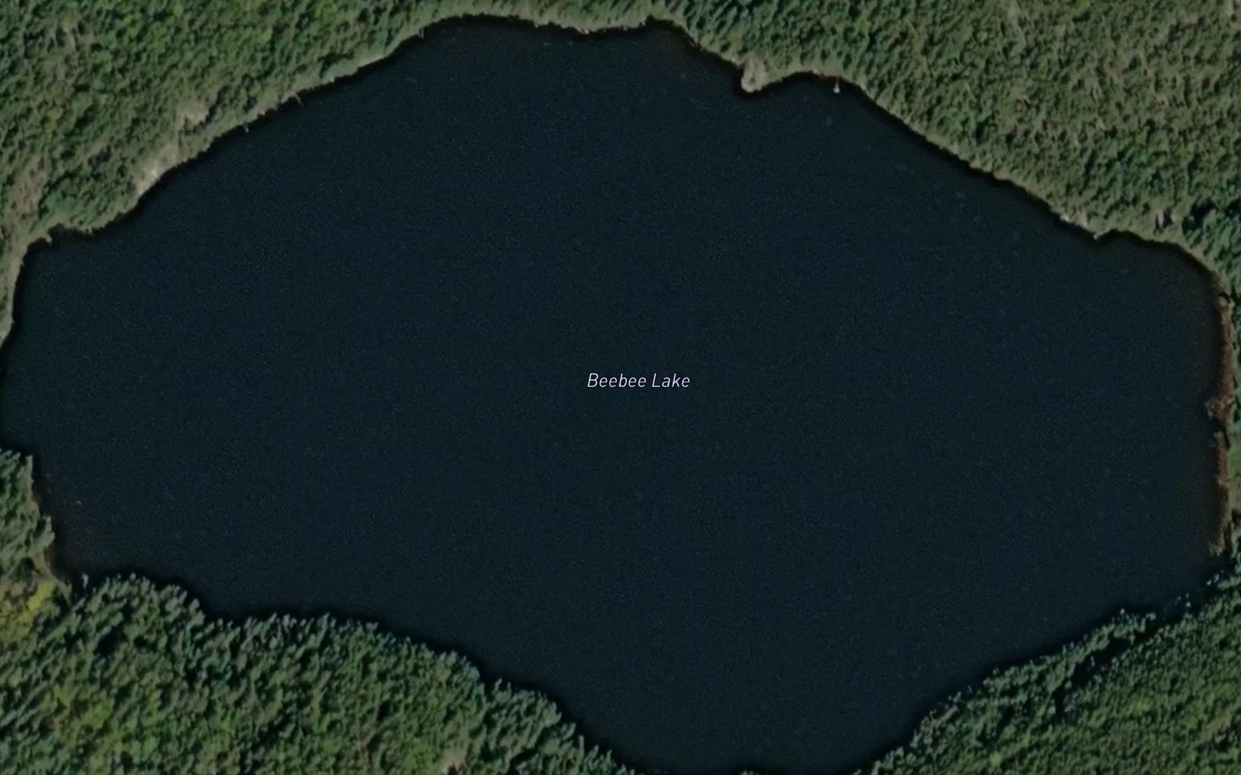 Satellite map of the Beebee Lake