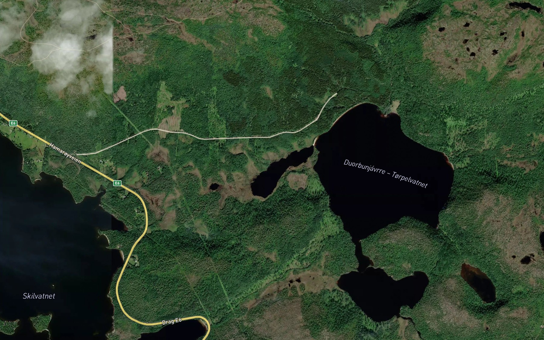 Satellite map of the Langtjorna