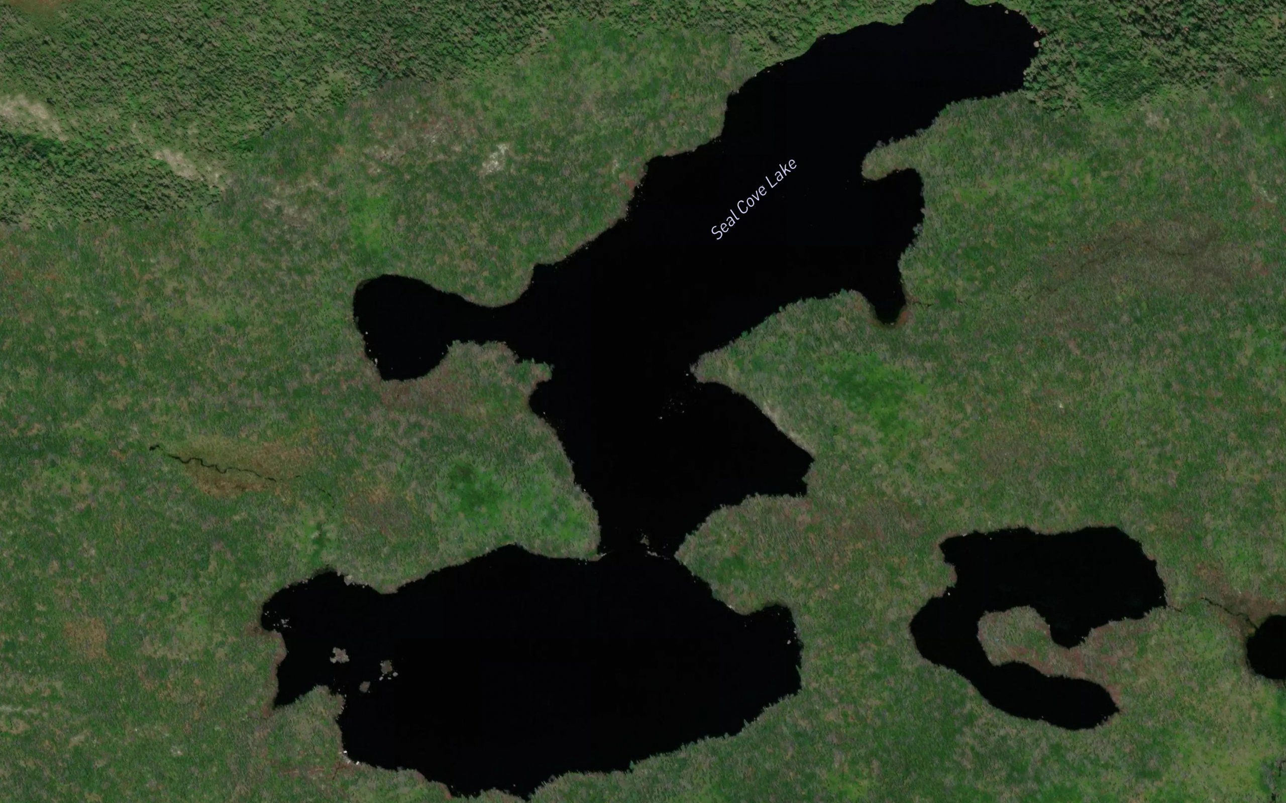 Seal Cove Lake