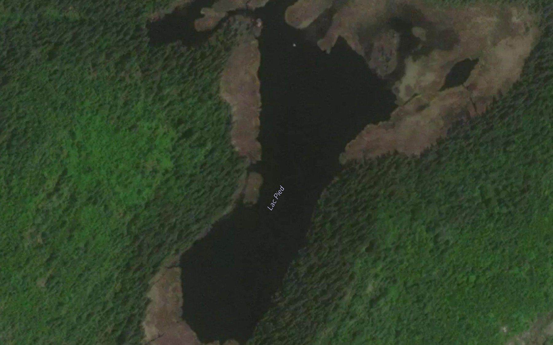 Satellite map of the Lac Pied