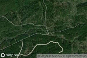 Moccasin Branch