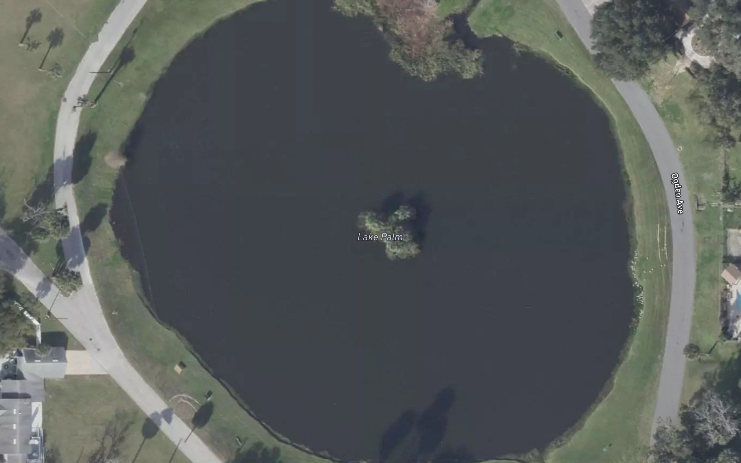 Lake Palm