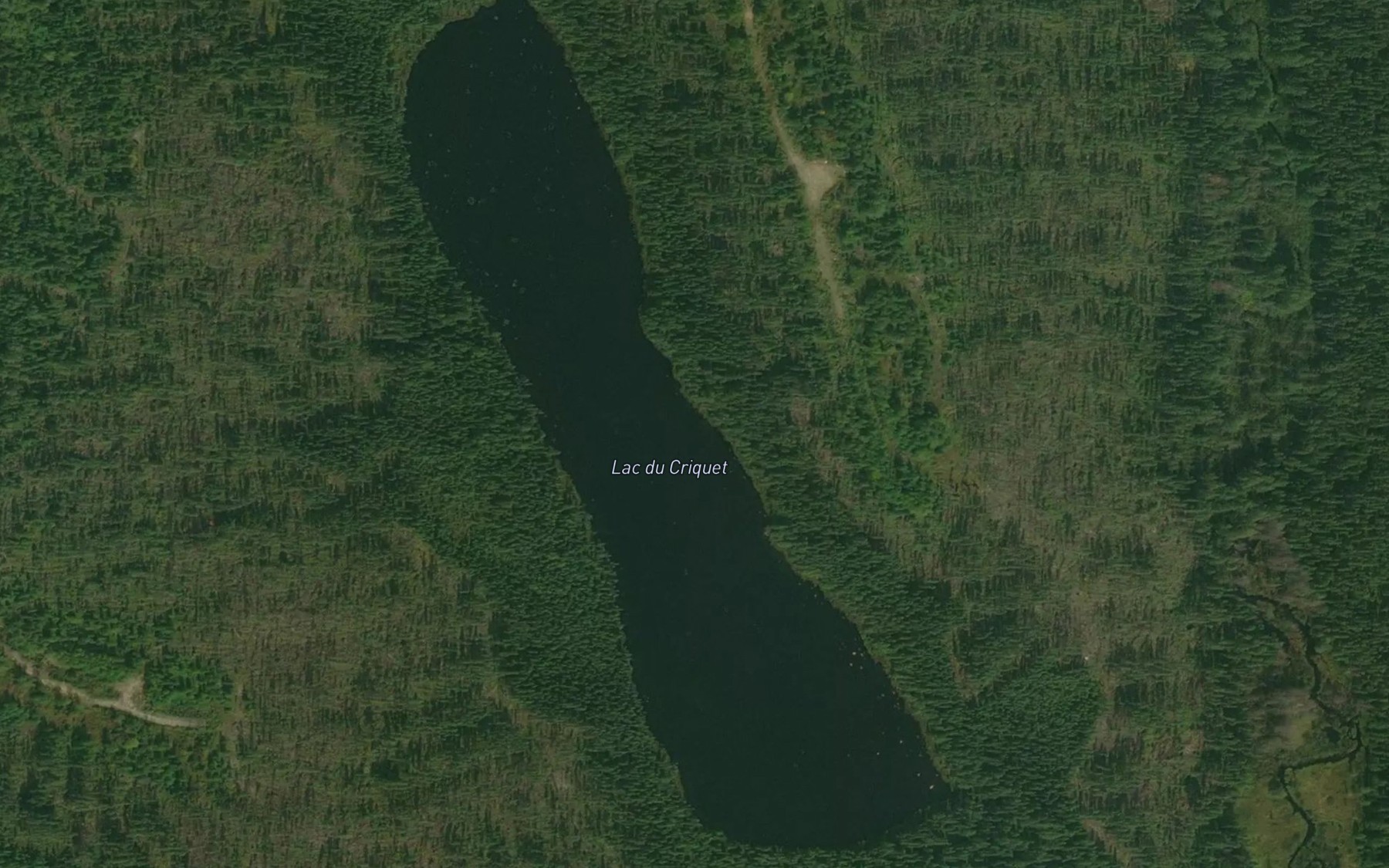 Satellite map of the Lac du Criquet