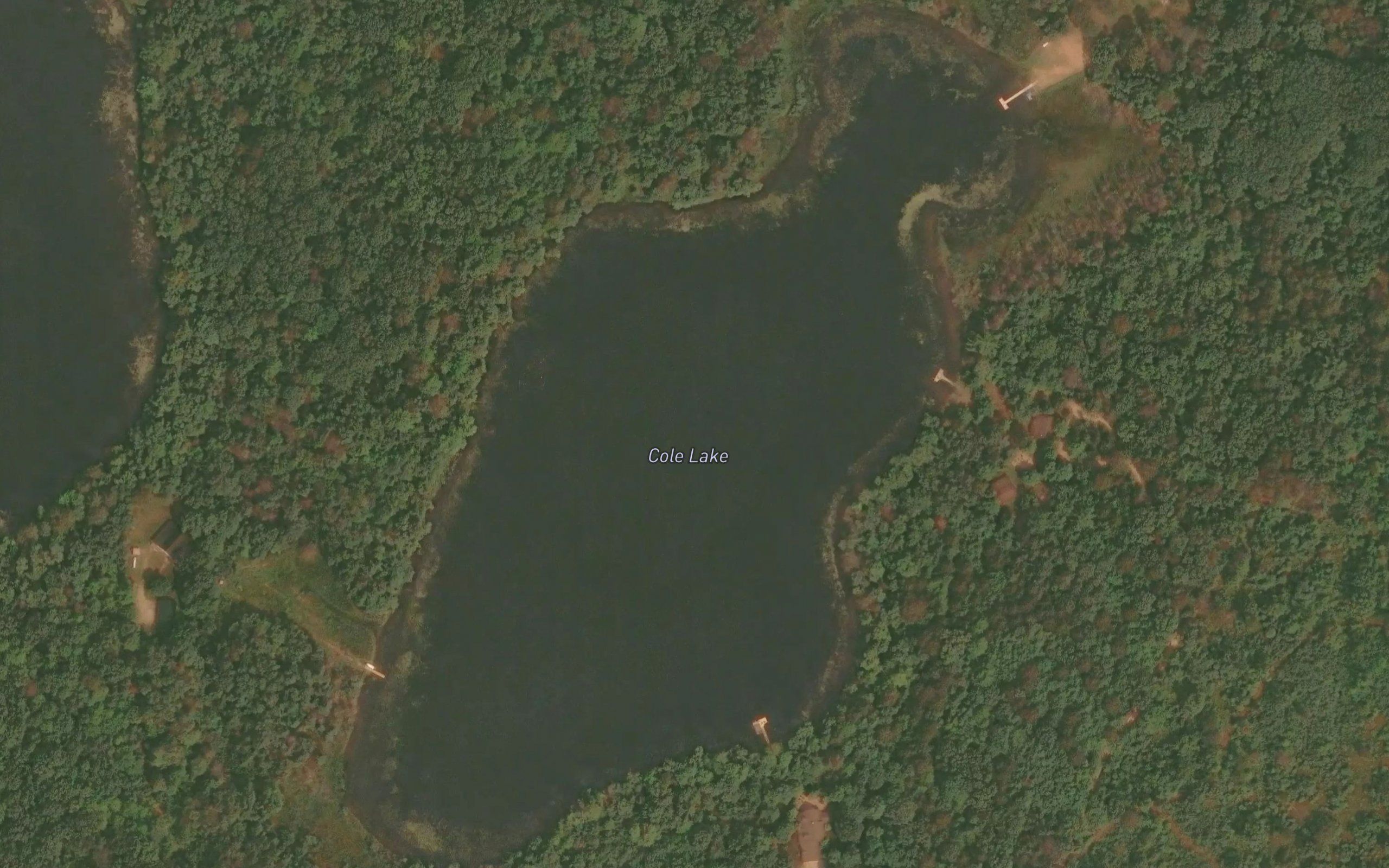 Cole Lake