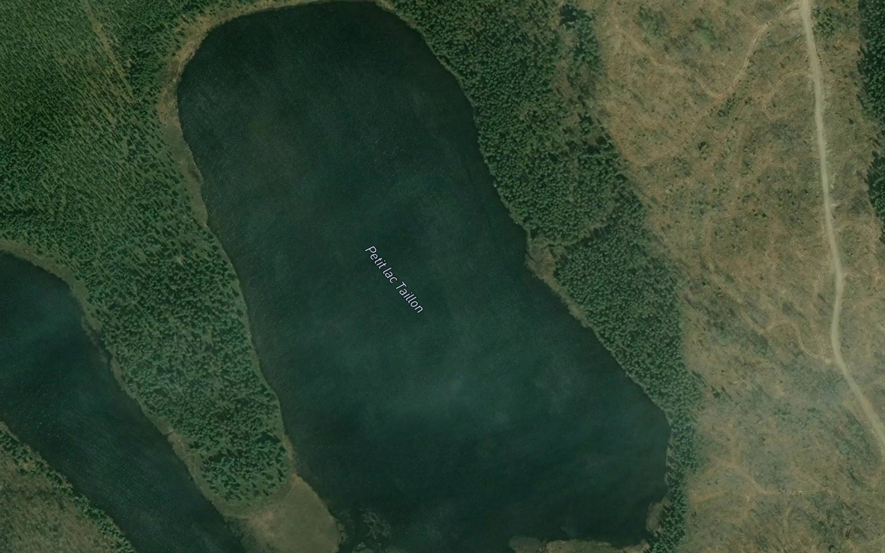 Satellite map of the Petit lac Taillon