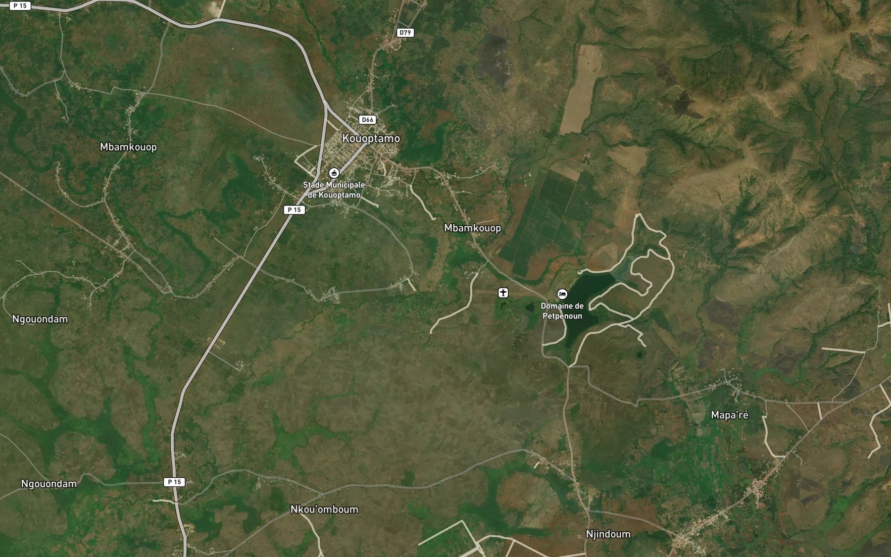 Satellite map of the Ngoulure