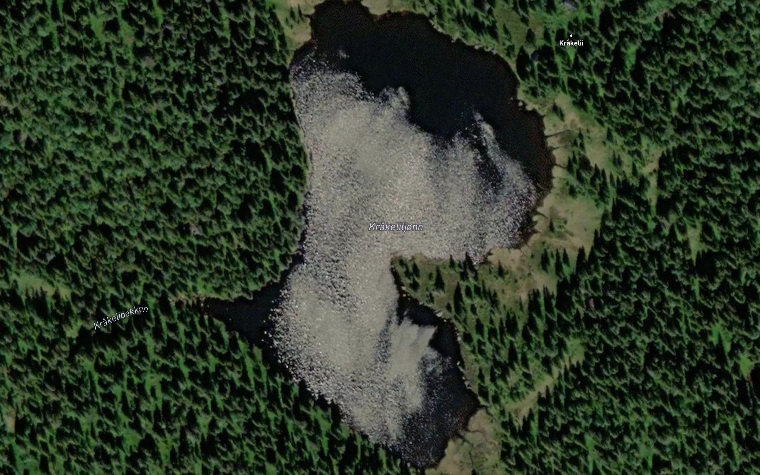 Krakelitjonn