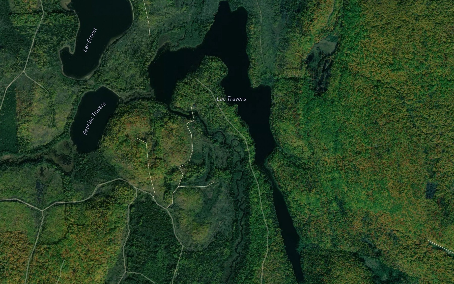 Satellite map of the Lac Travers