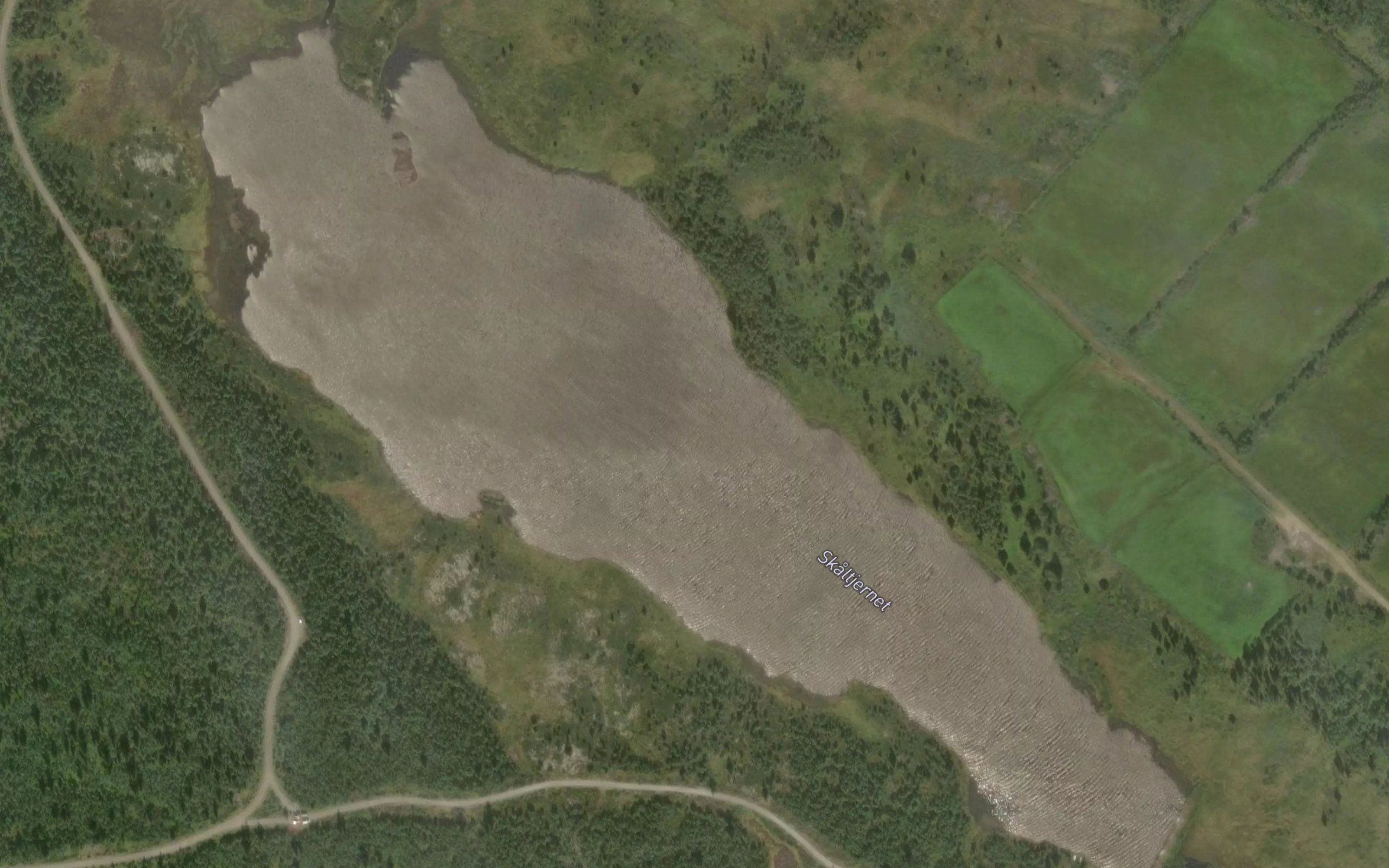 Skaltjernet