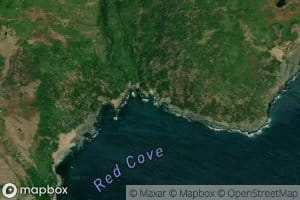 Red Cove Gully
