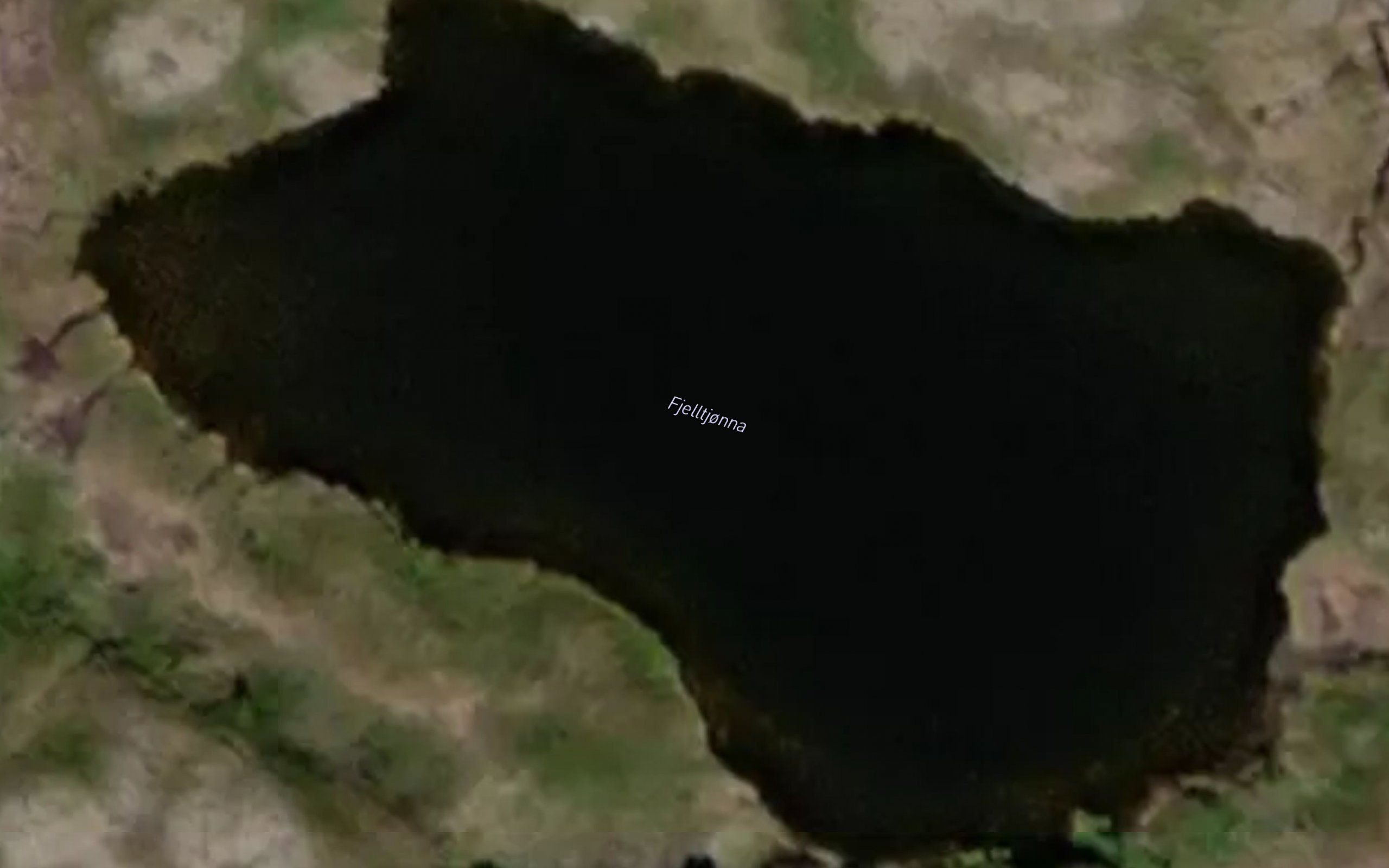 Fjelltjonna