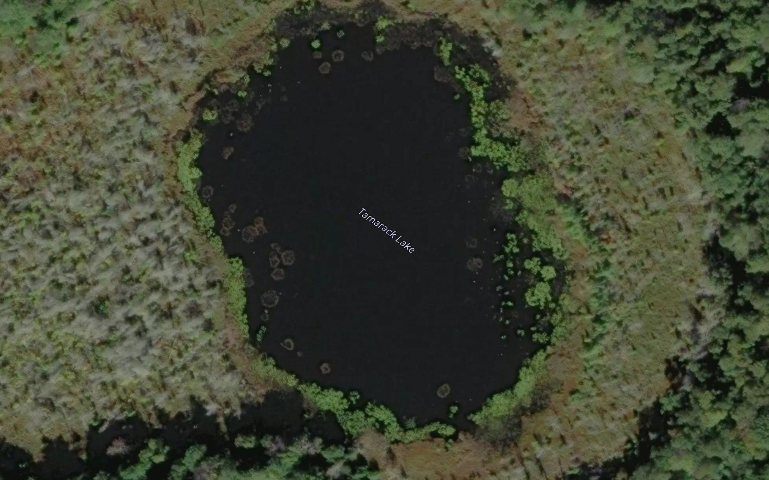 Tamarack Lake