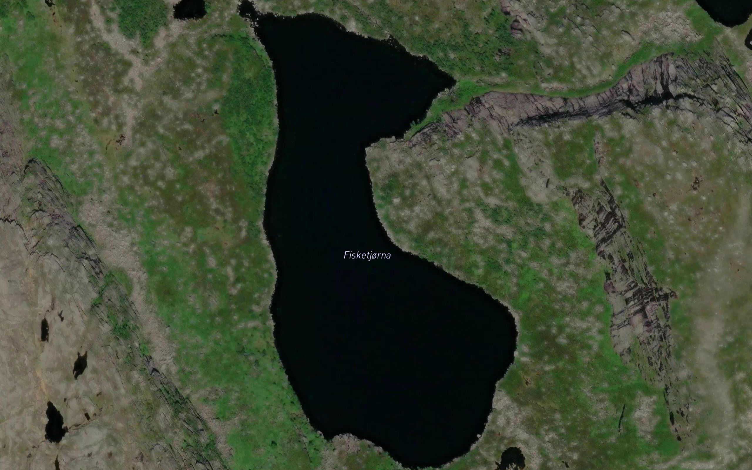 Fisketjornhommen