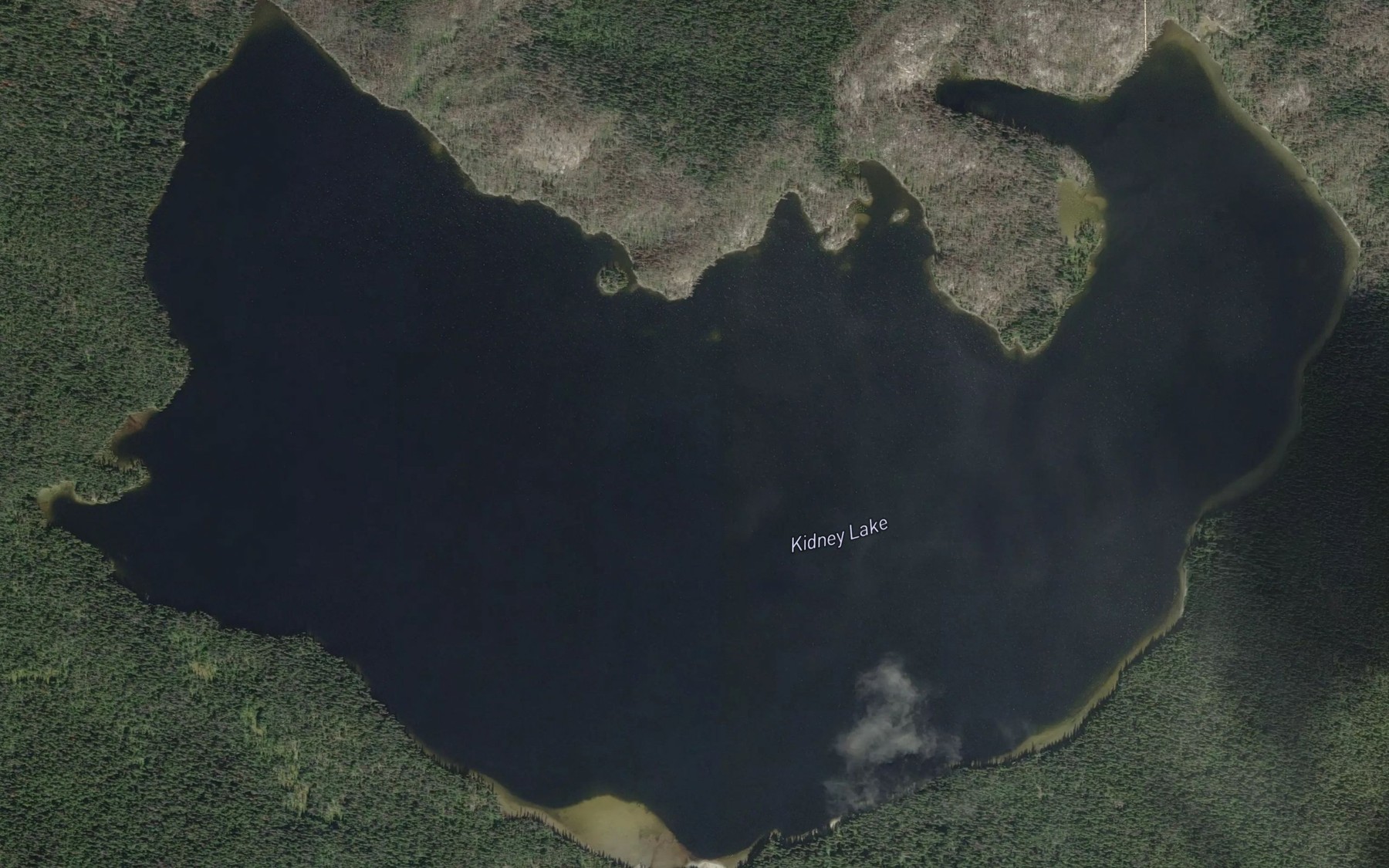 Satellite map of the Kidney Lake