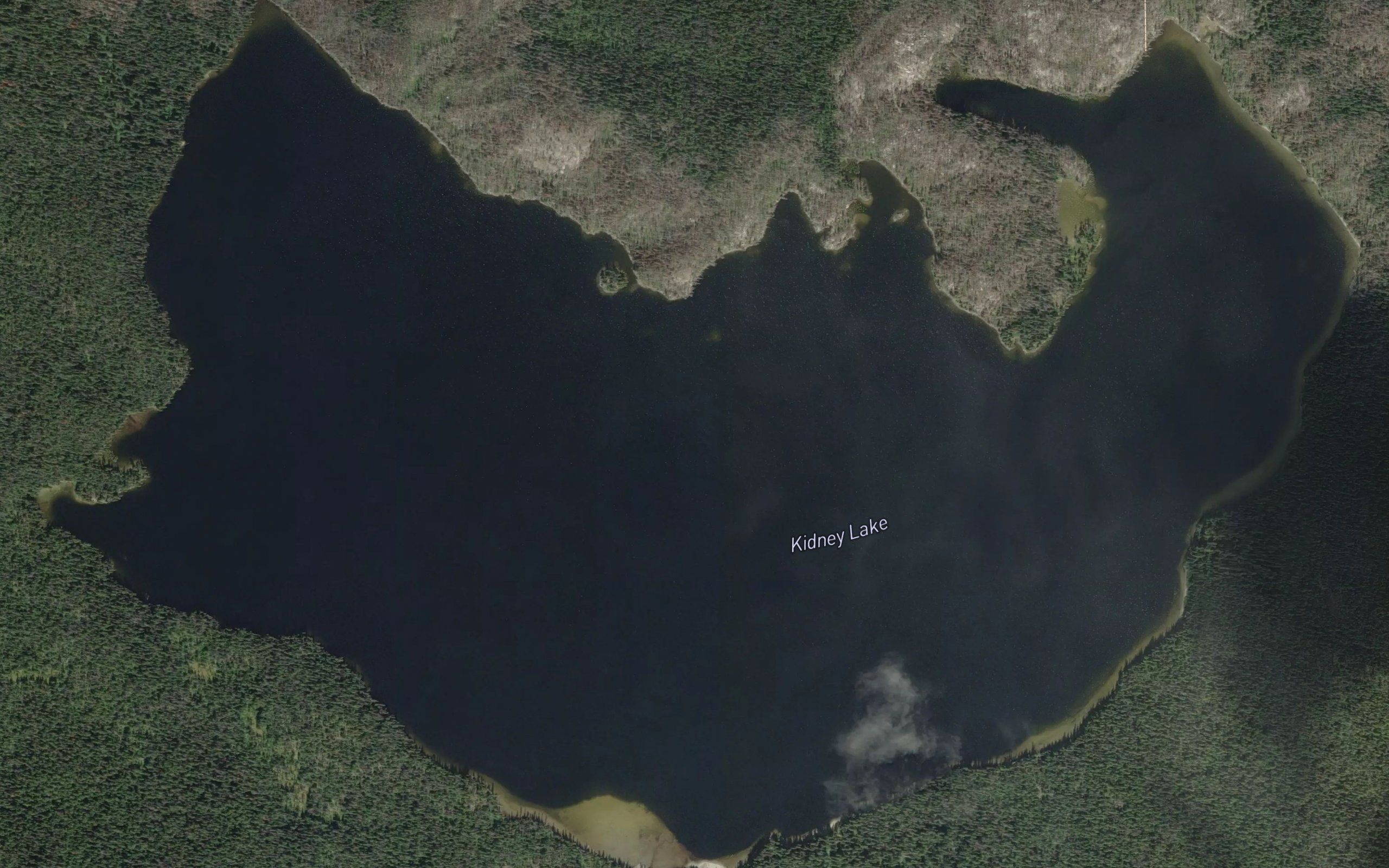 Kidney Lake