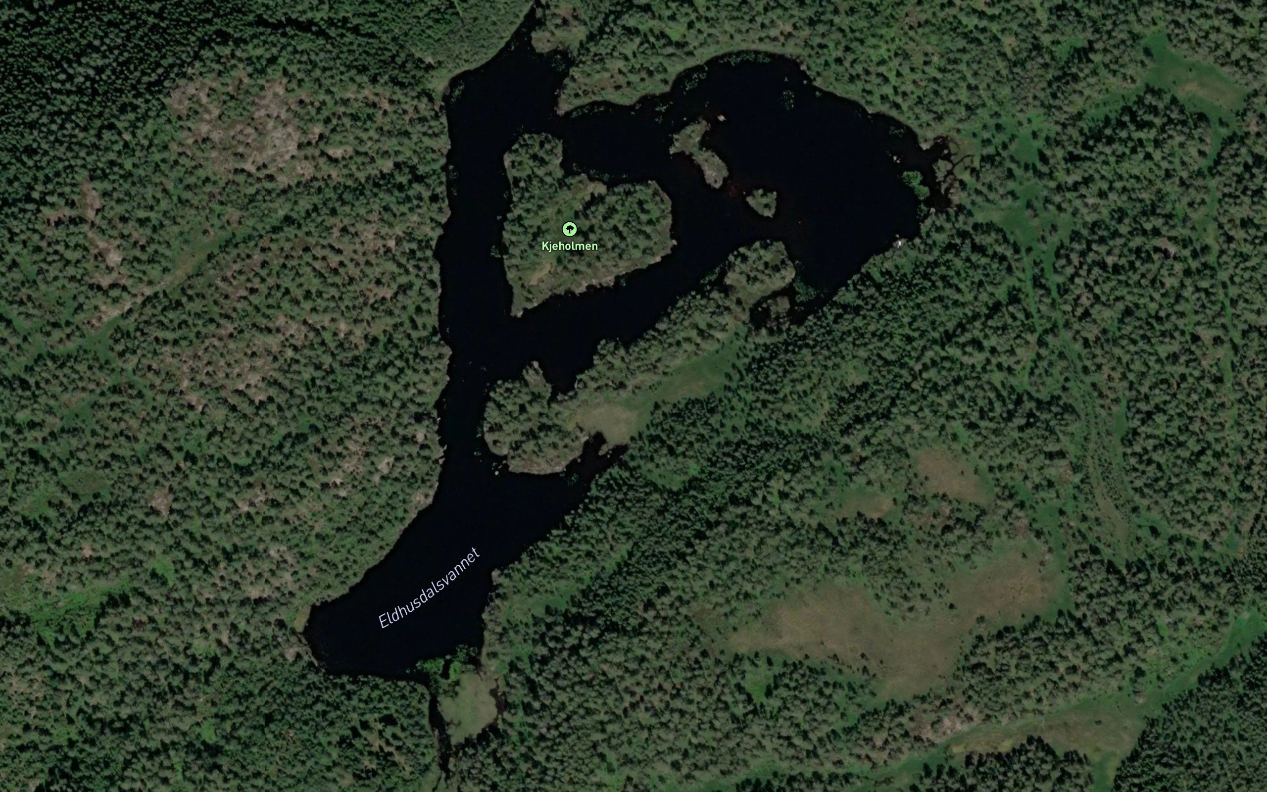 Eldhusdalsvannet