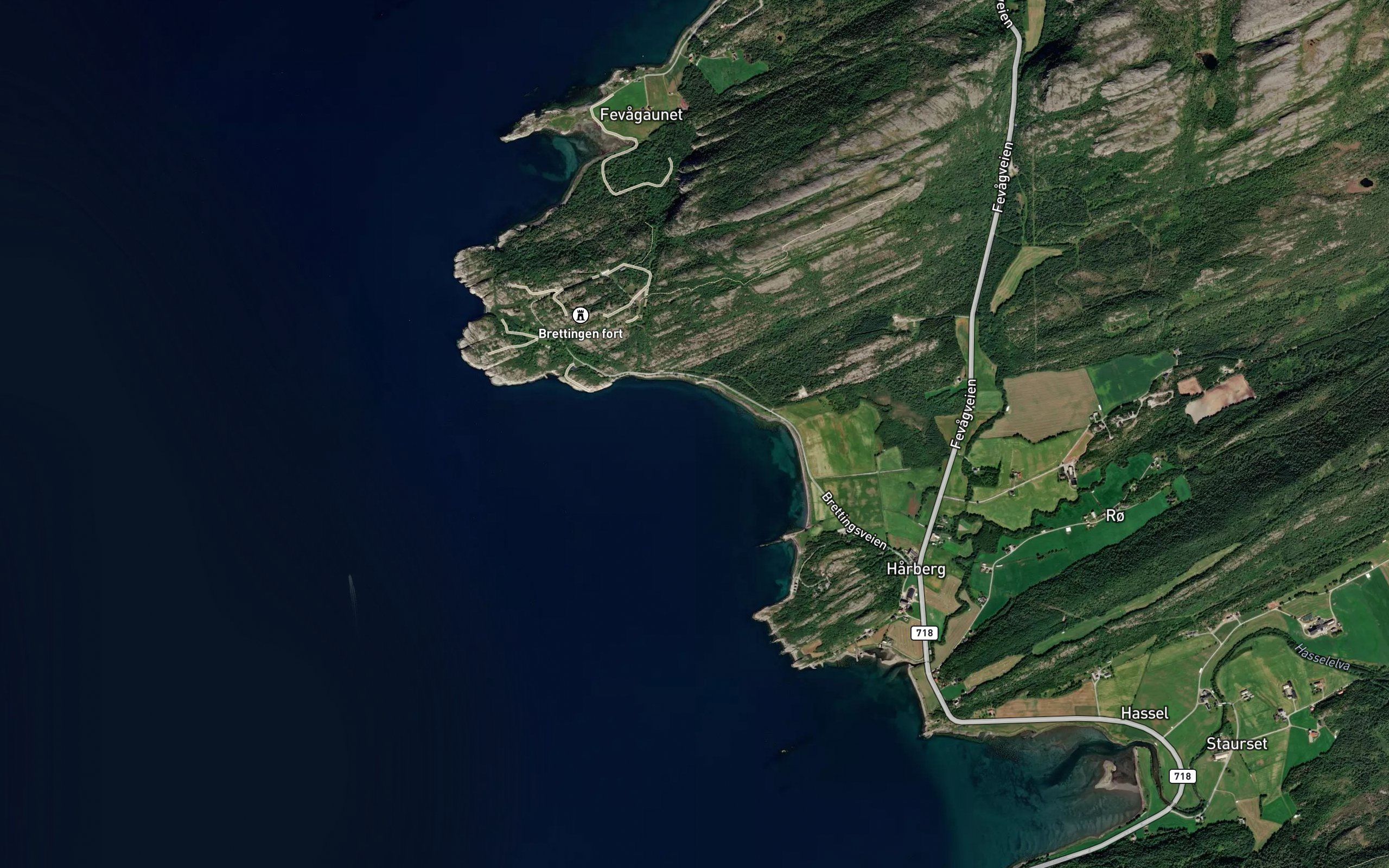 Roytvika