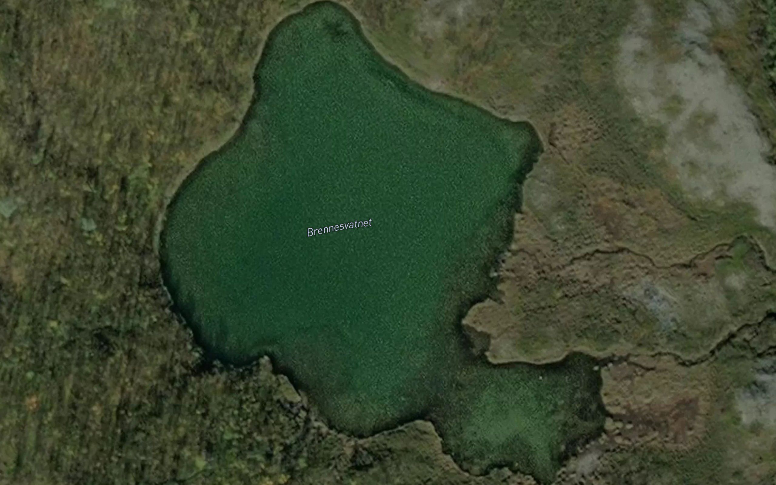 Brennesvannet