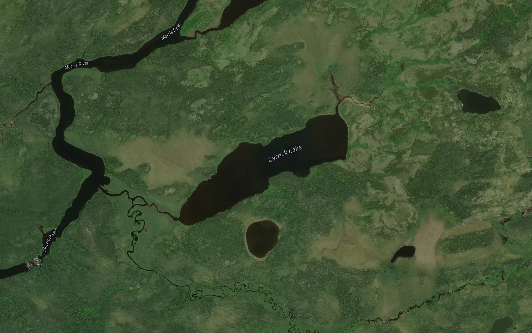 Satellite map of the Carrick Lake