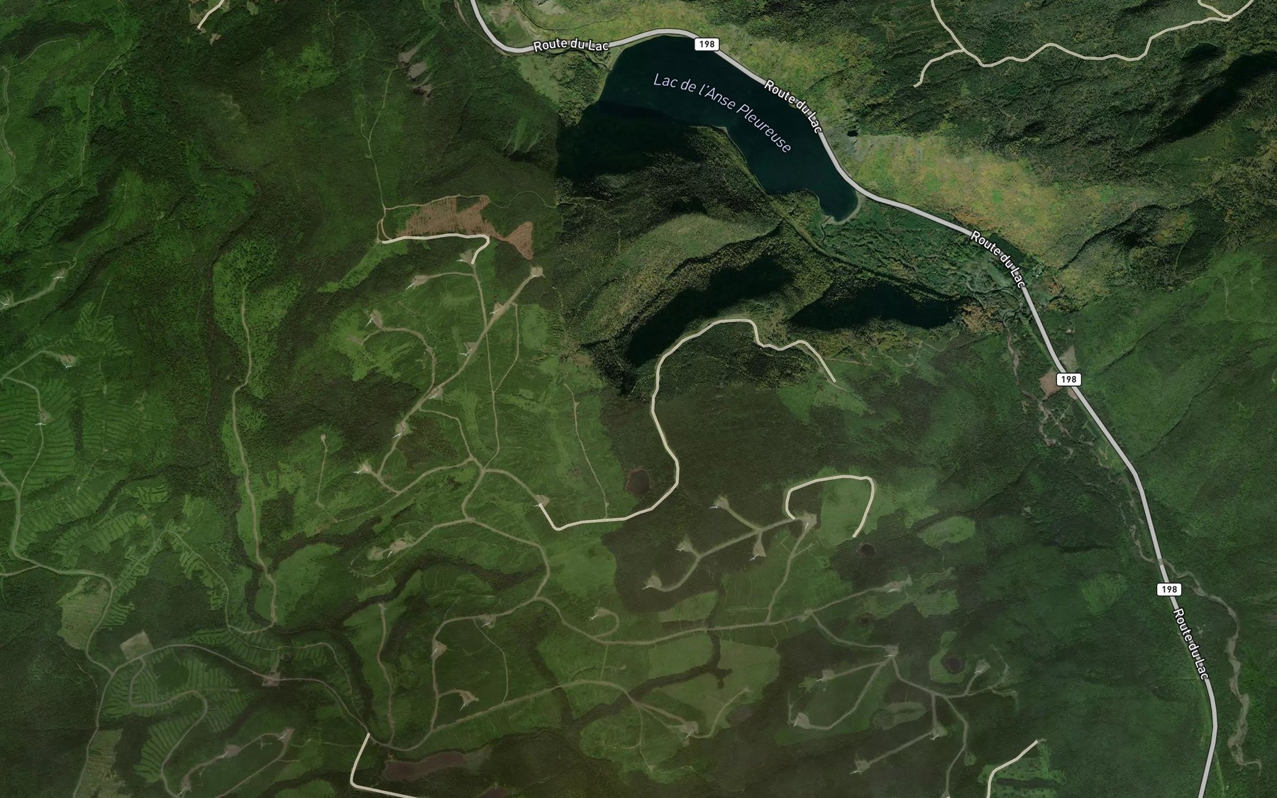 Satellite map of the Coulee du Lac de la Pointe au Cedre