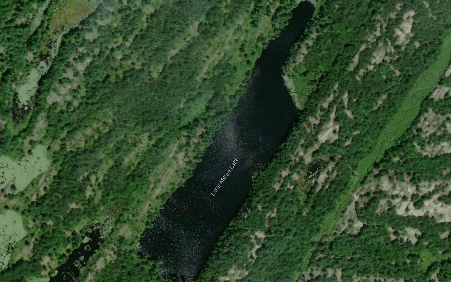 Satellite map of the Little Mitten Lake