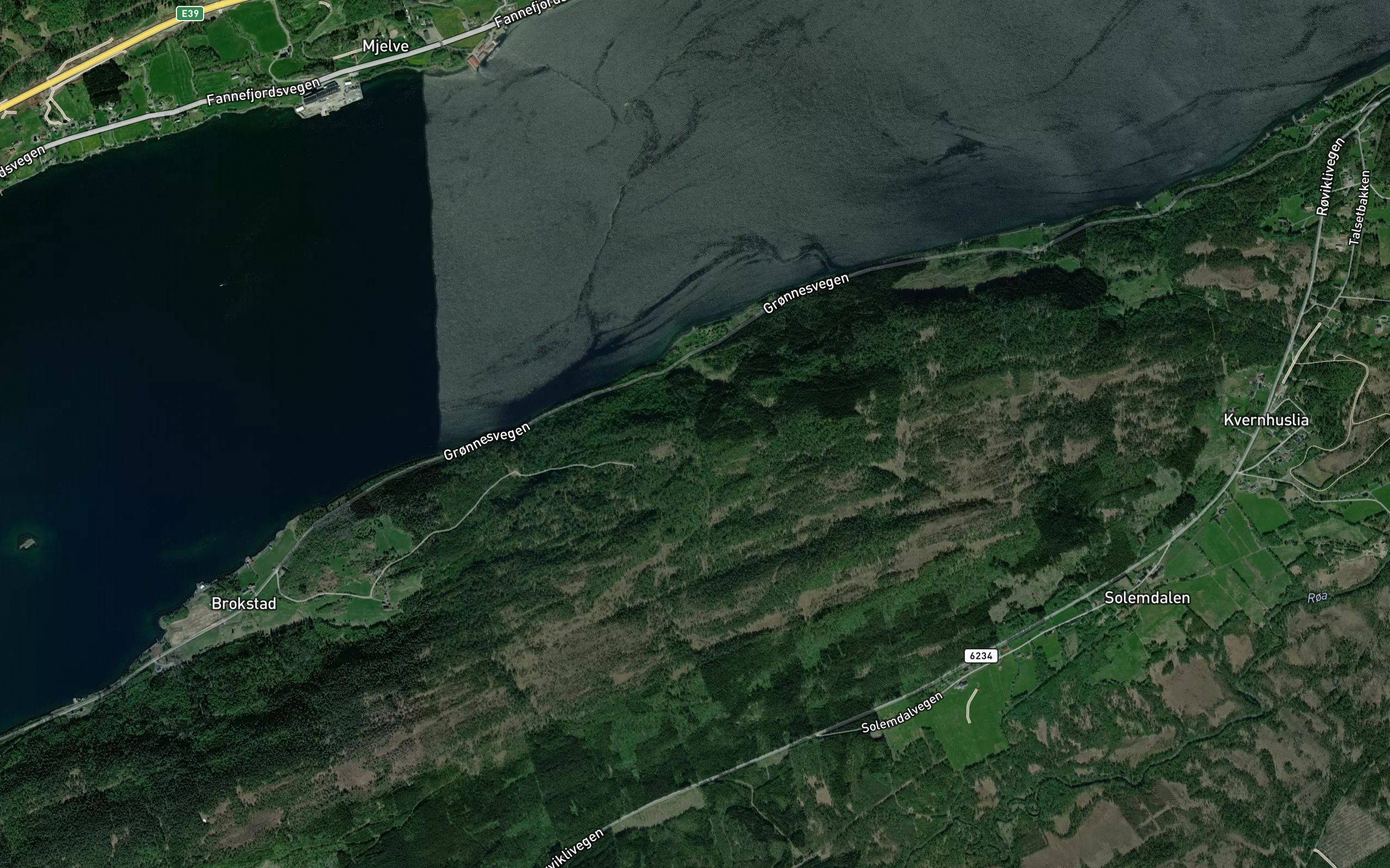 Strandselva