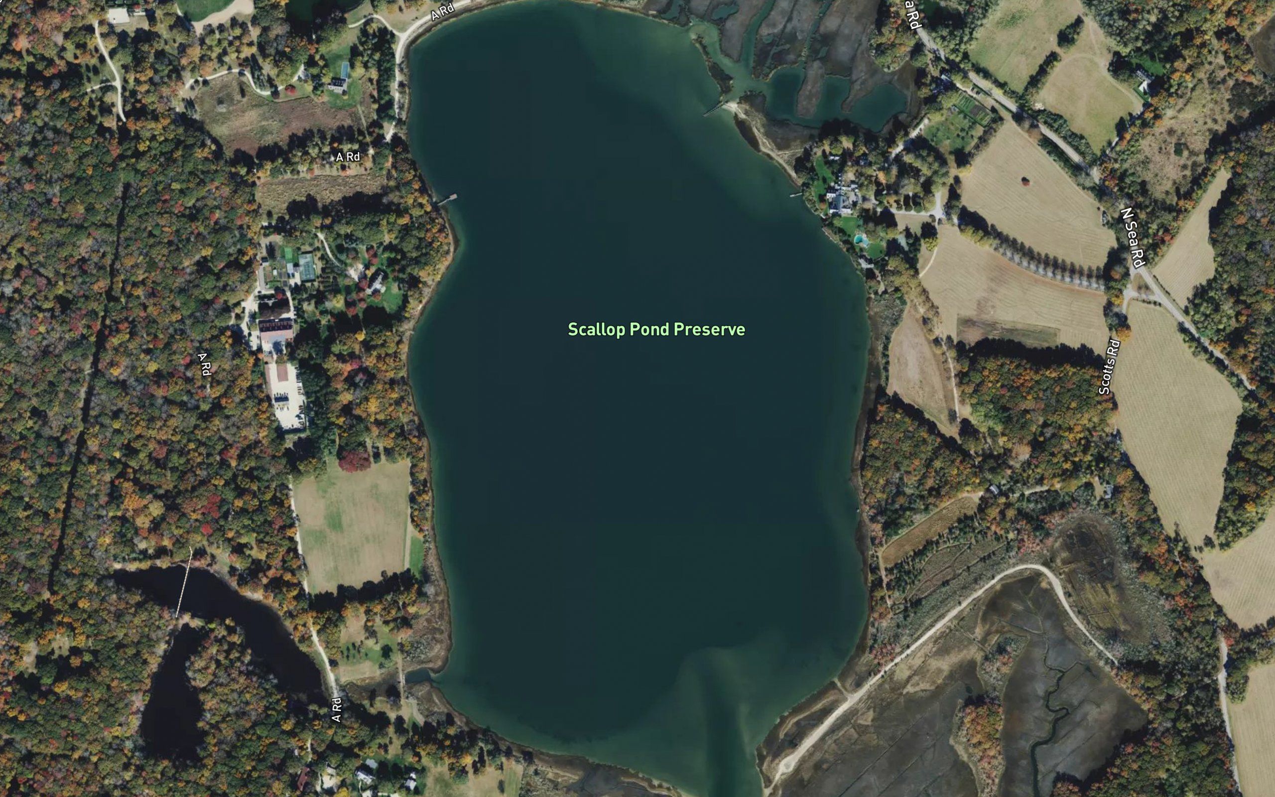 Scallop Pond