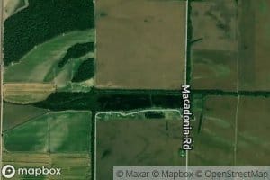 Ditch Number 11