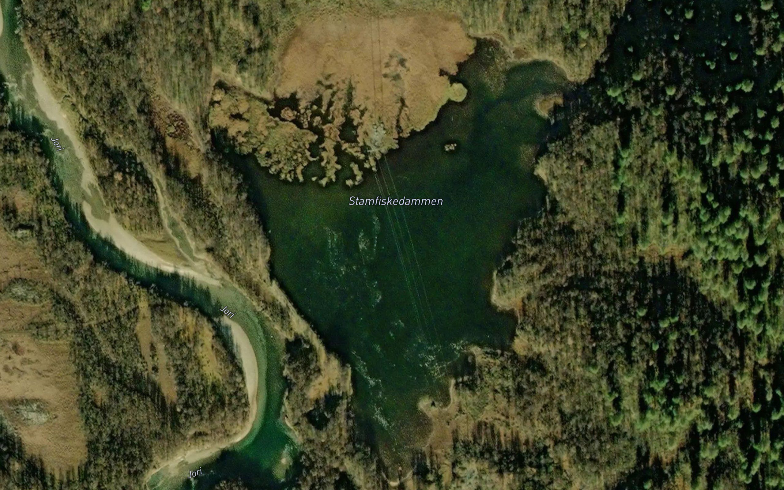 Stamfiskedammen