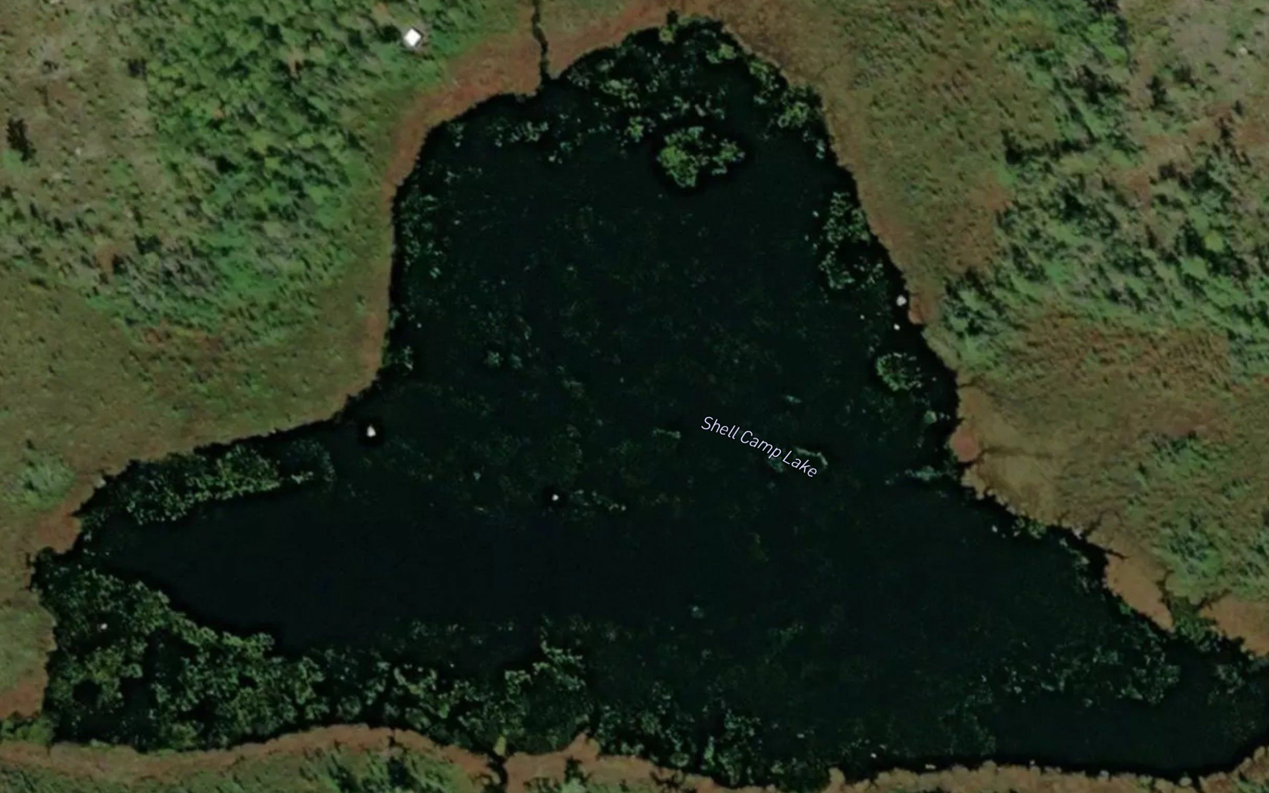 Shell Camp Lake