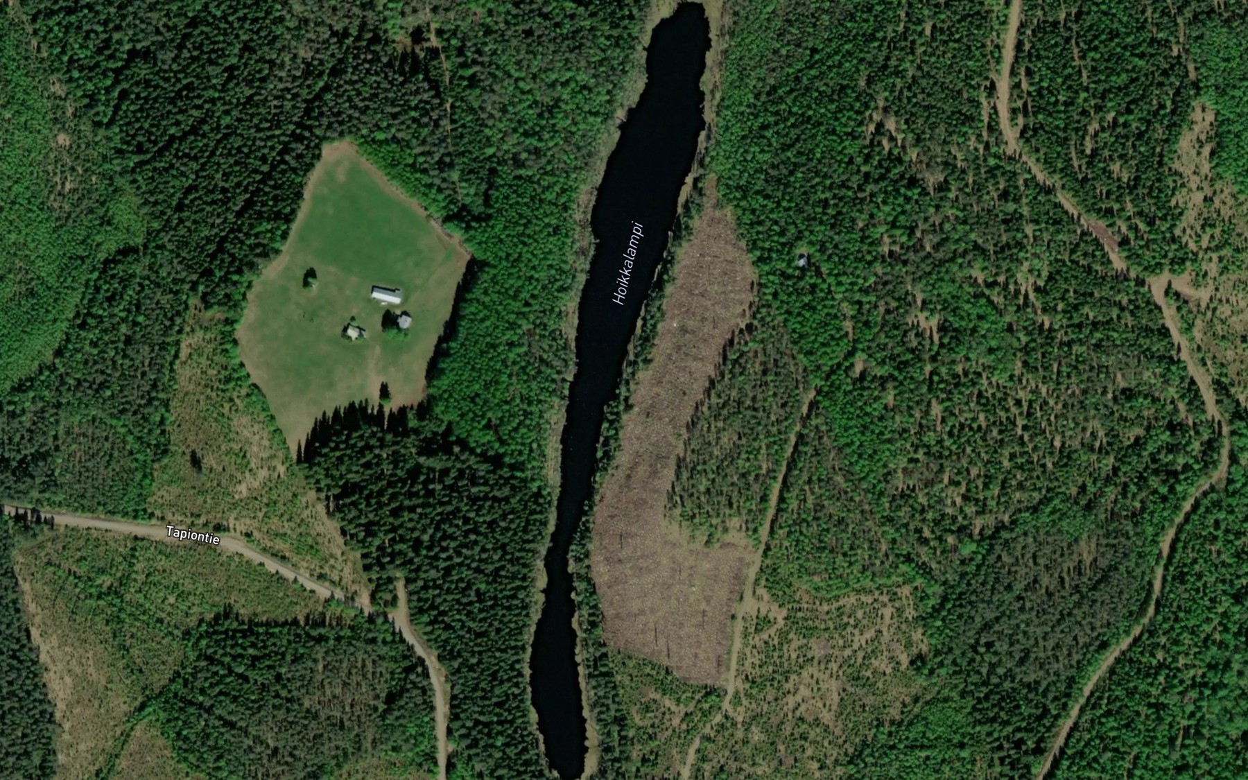 Satellite map of the Hoikkalampi