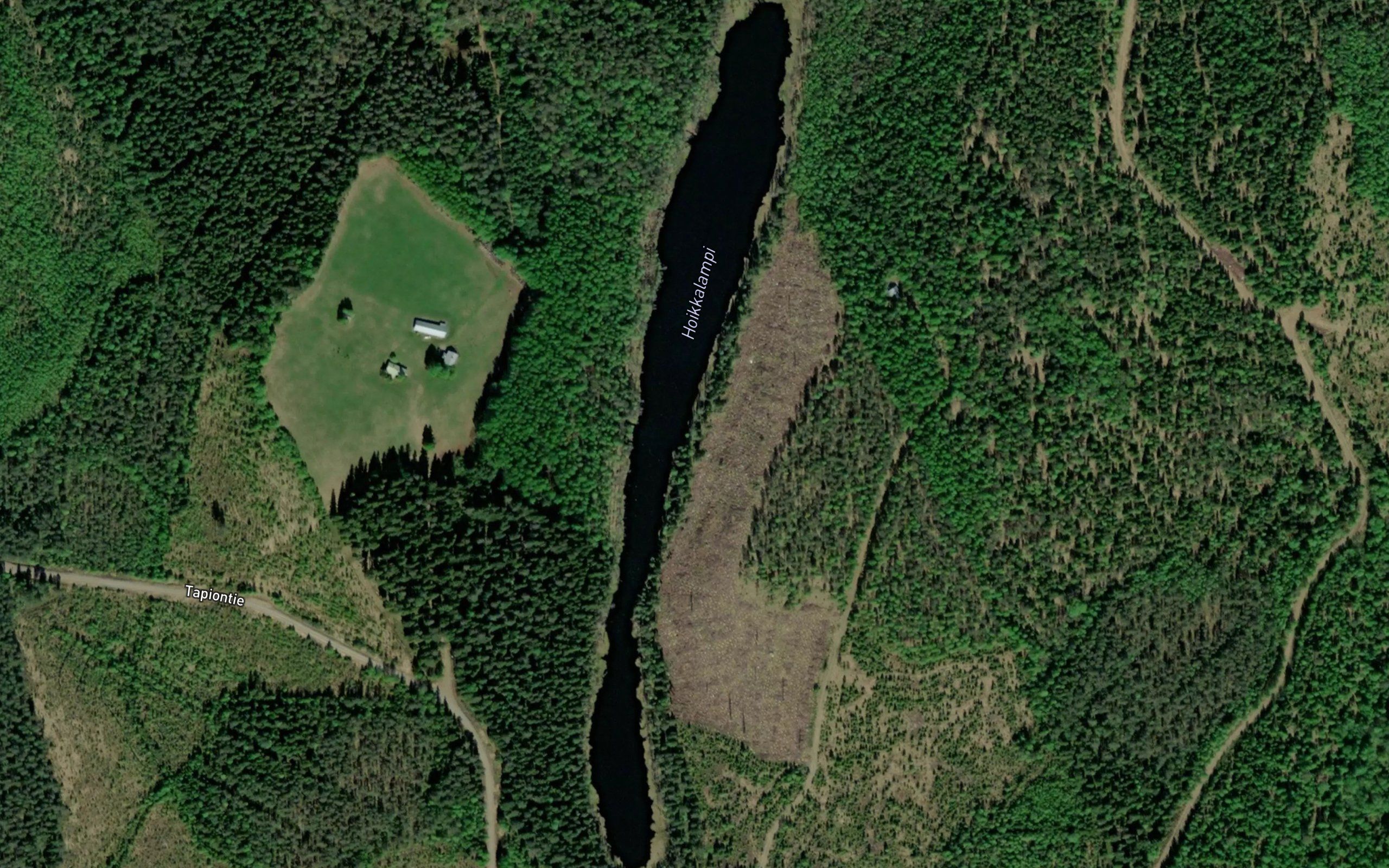 Hoikkalampi