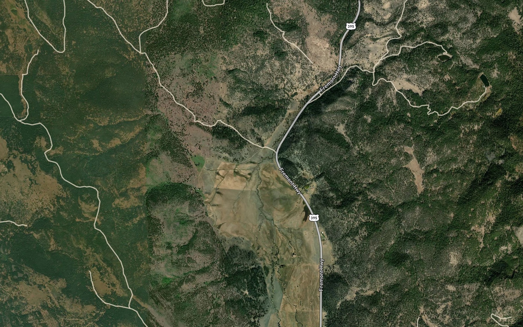 Satellite map of the Dicks Creek