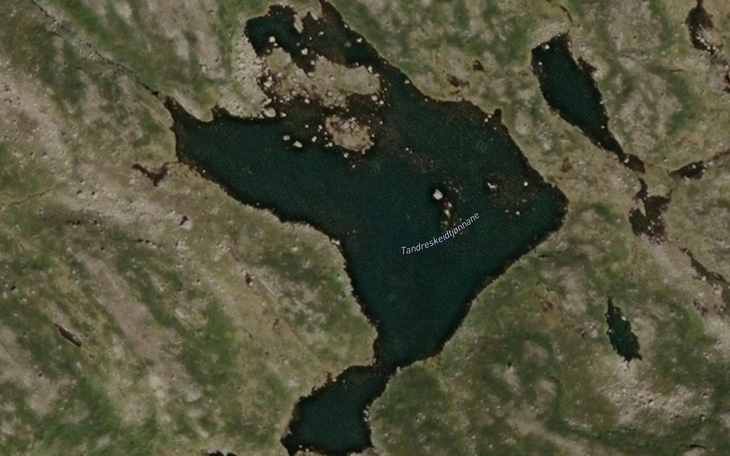 Tandreskeidtjornane