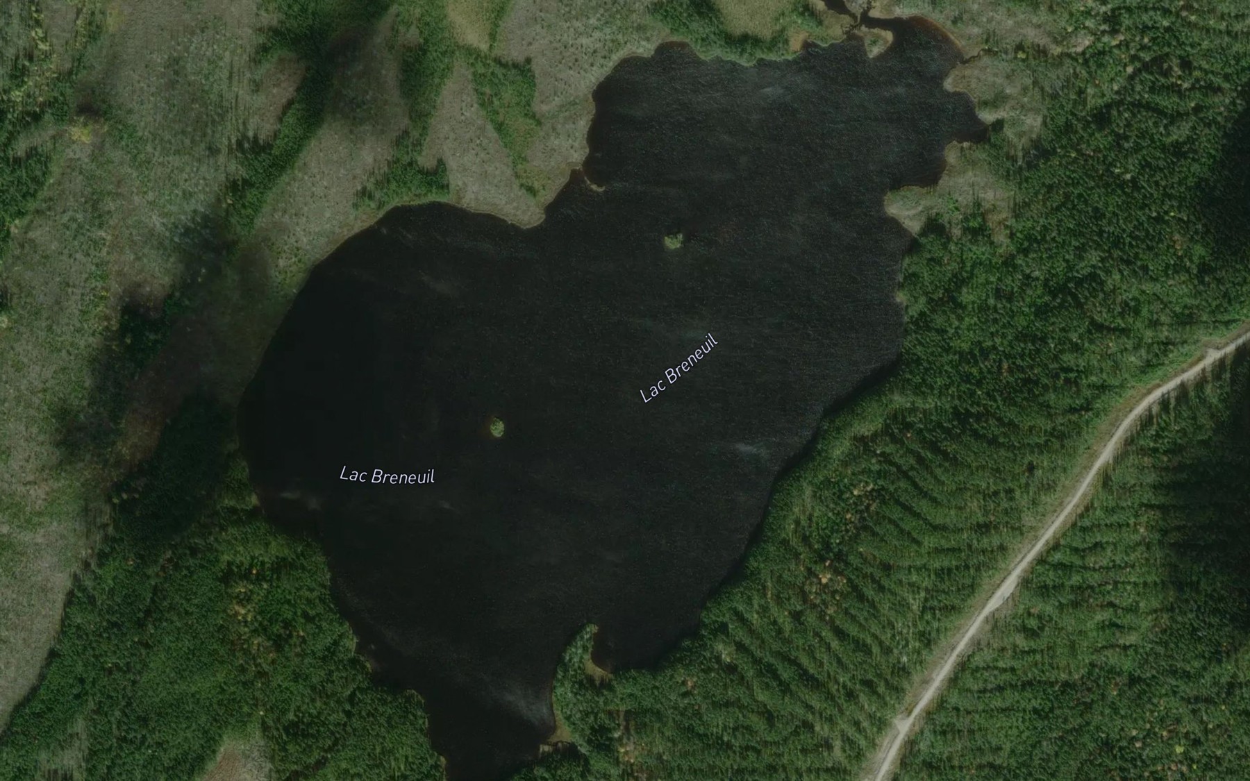 Satellite map of the Lac Breneuil
