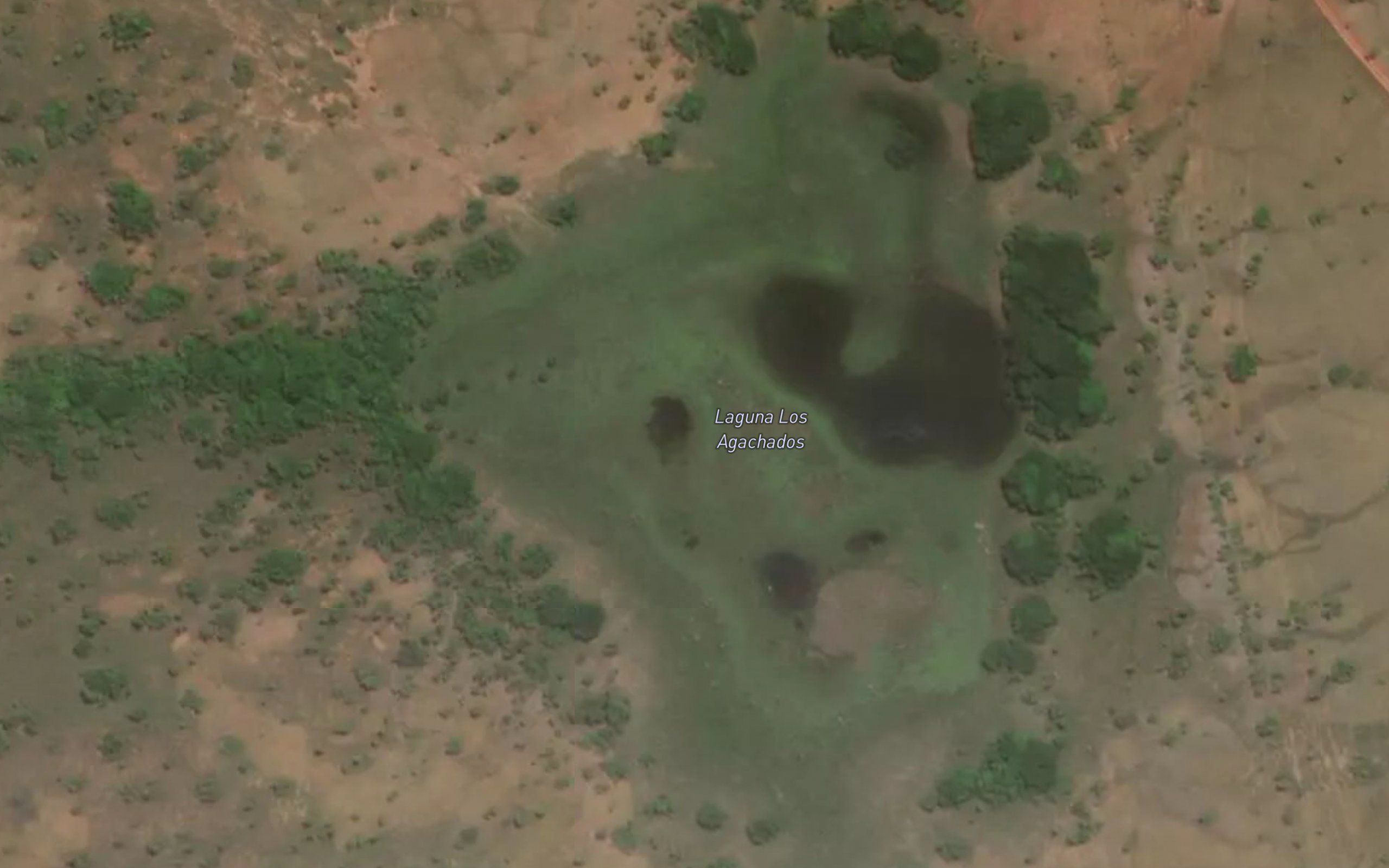 Lagunas Los Agachados