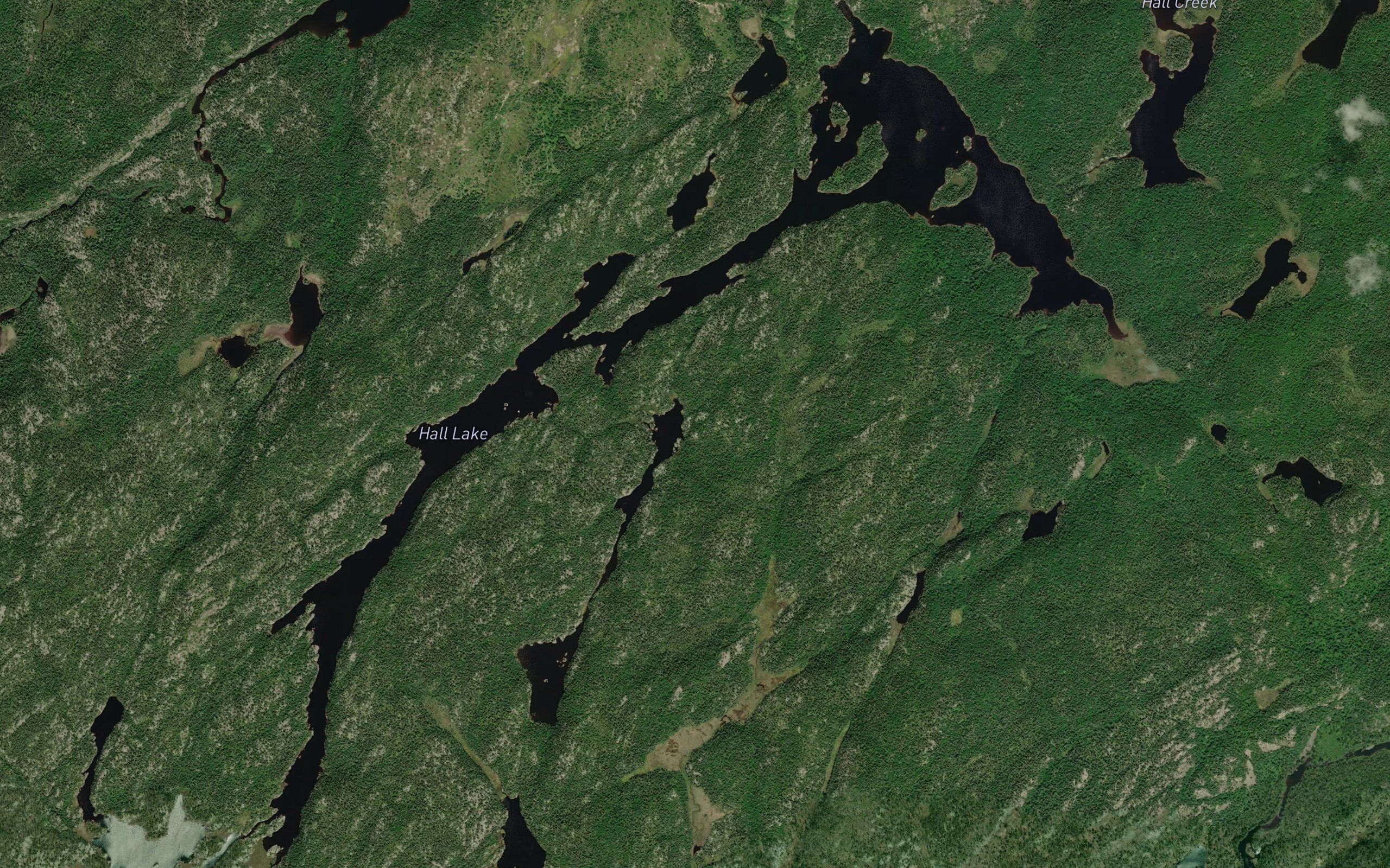 Hall Lake
