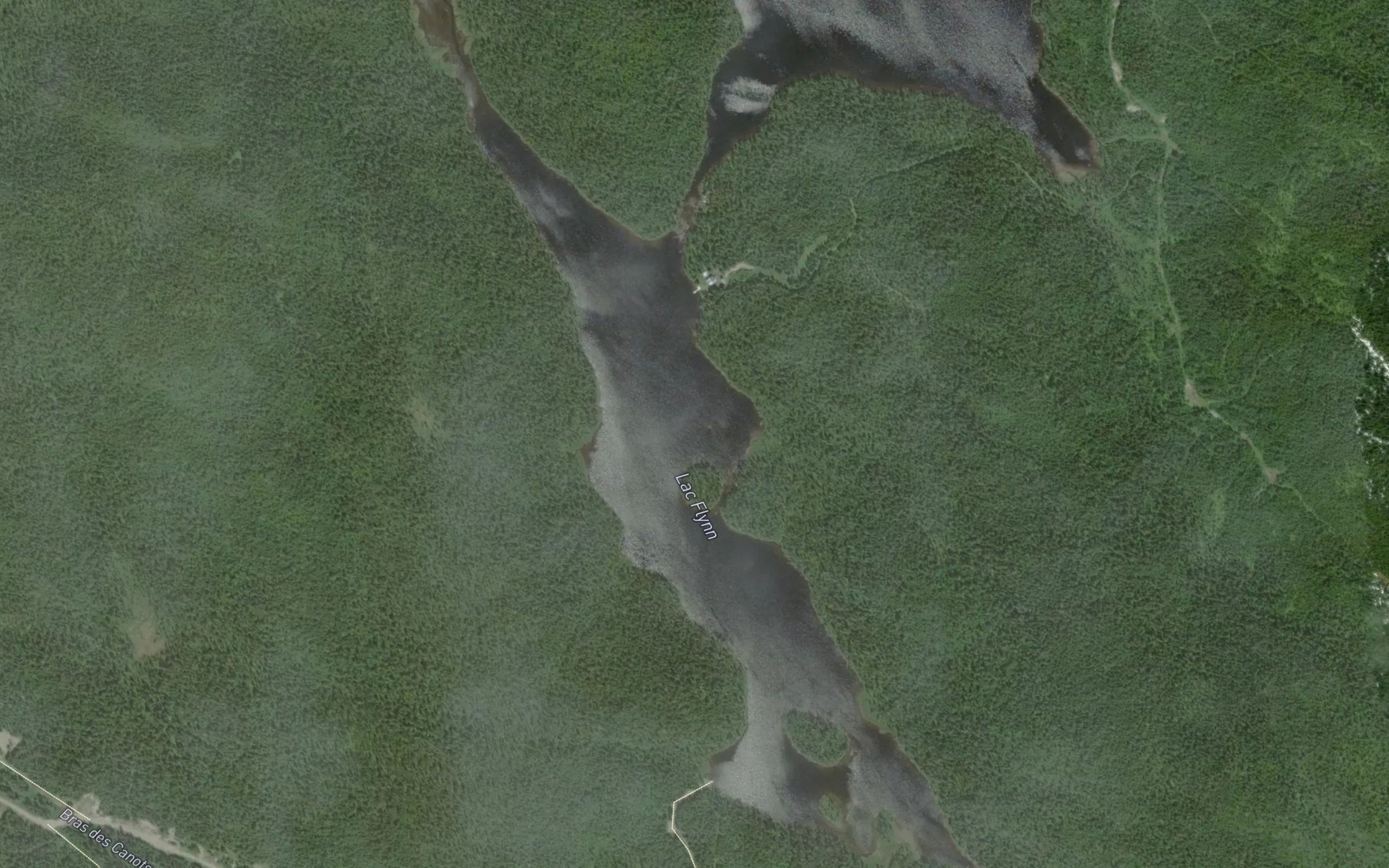 Satellite map of the Lac Flynn
