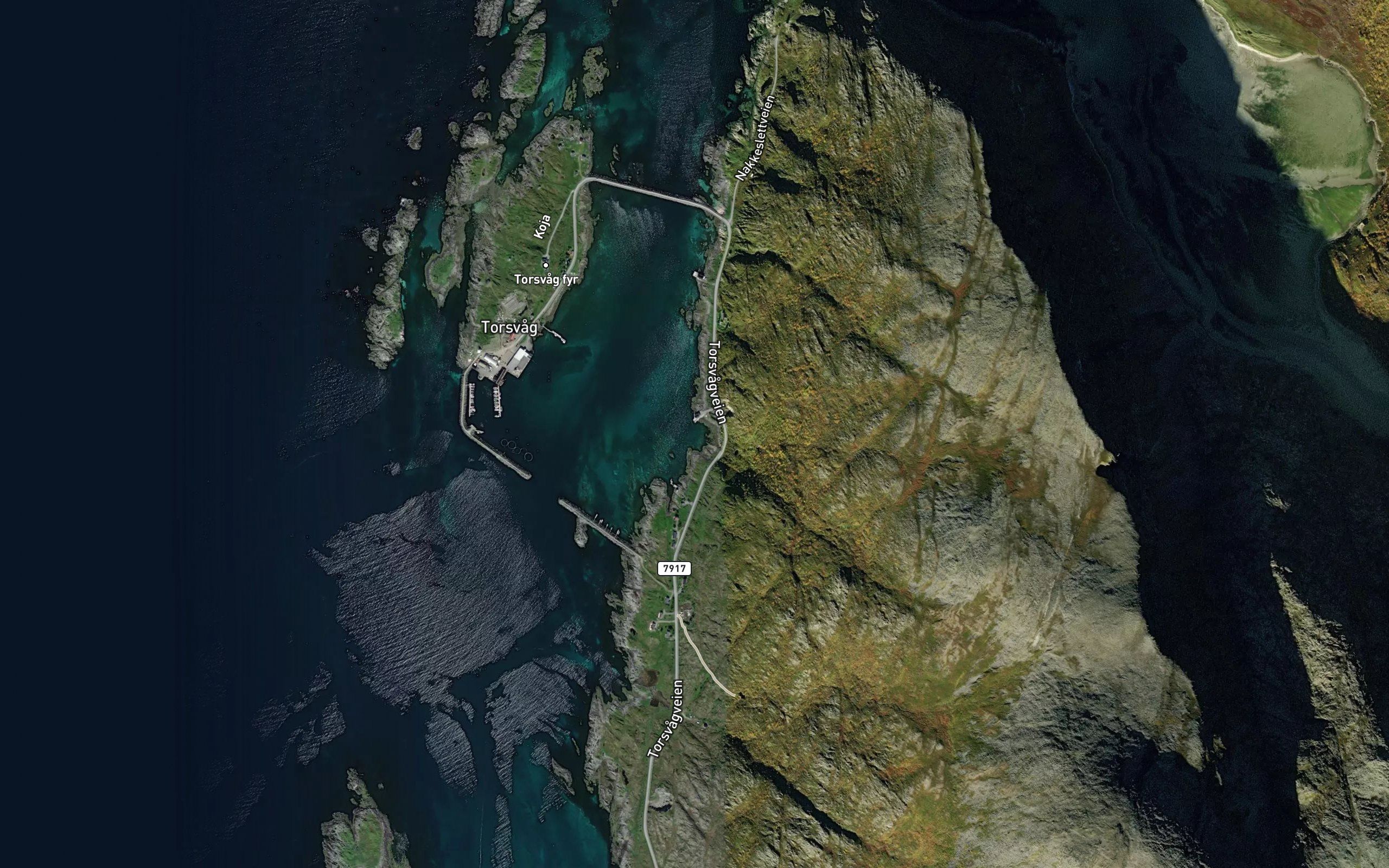 Fjosvika