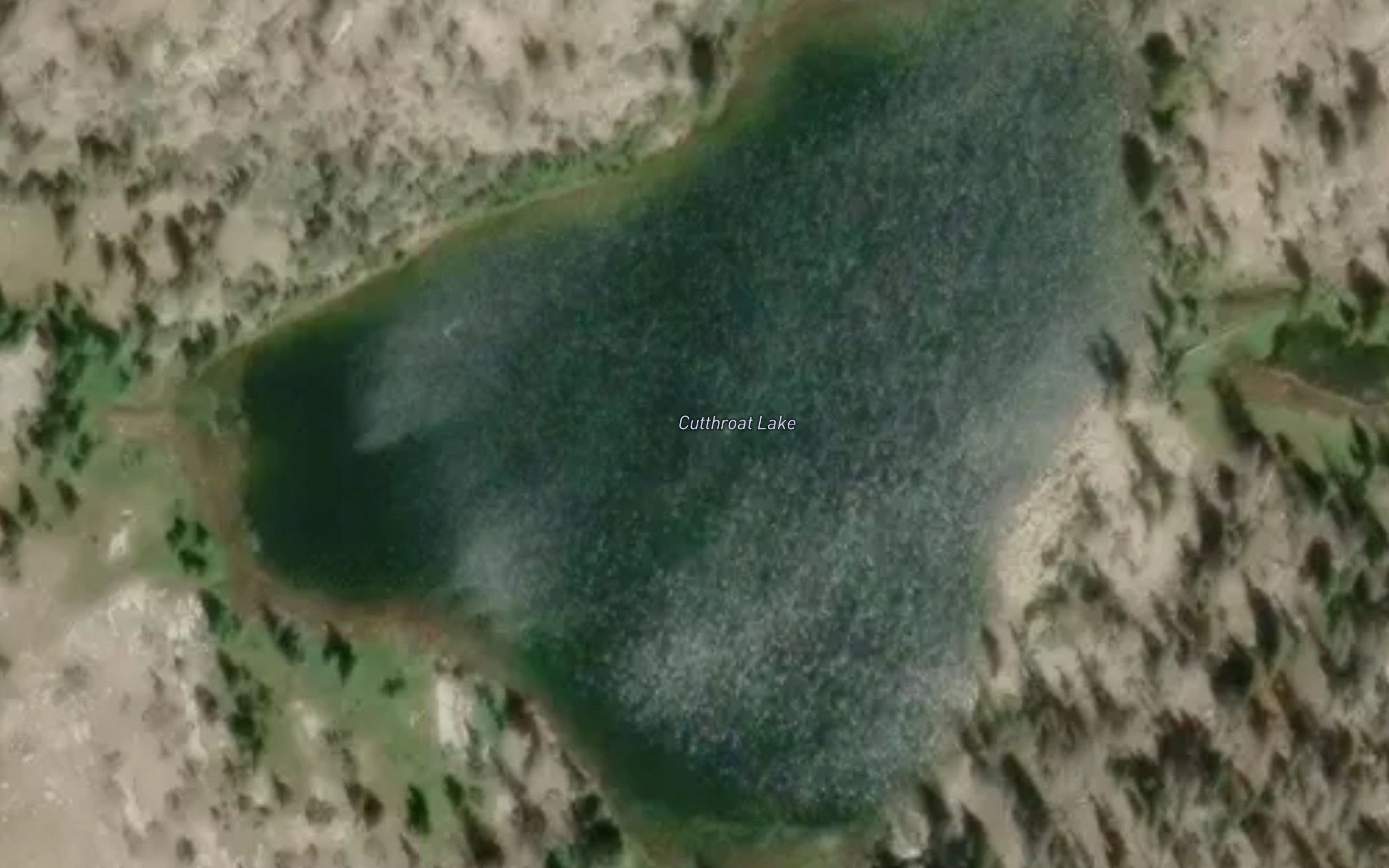 Cutthroat Lake