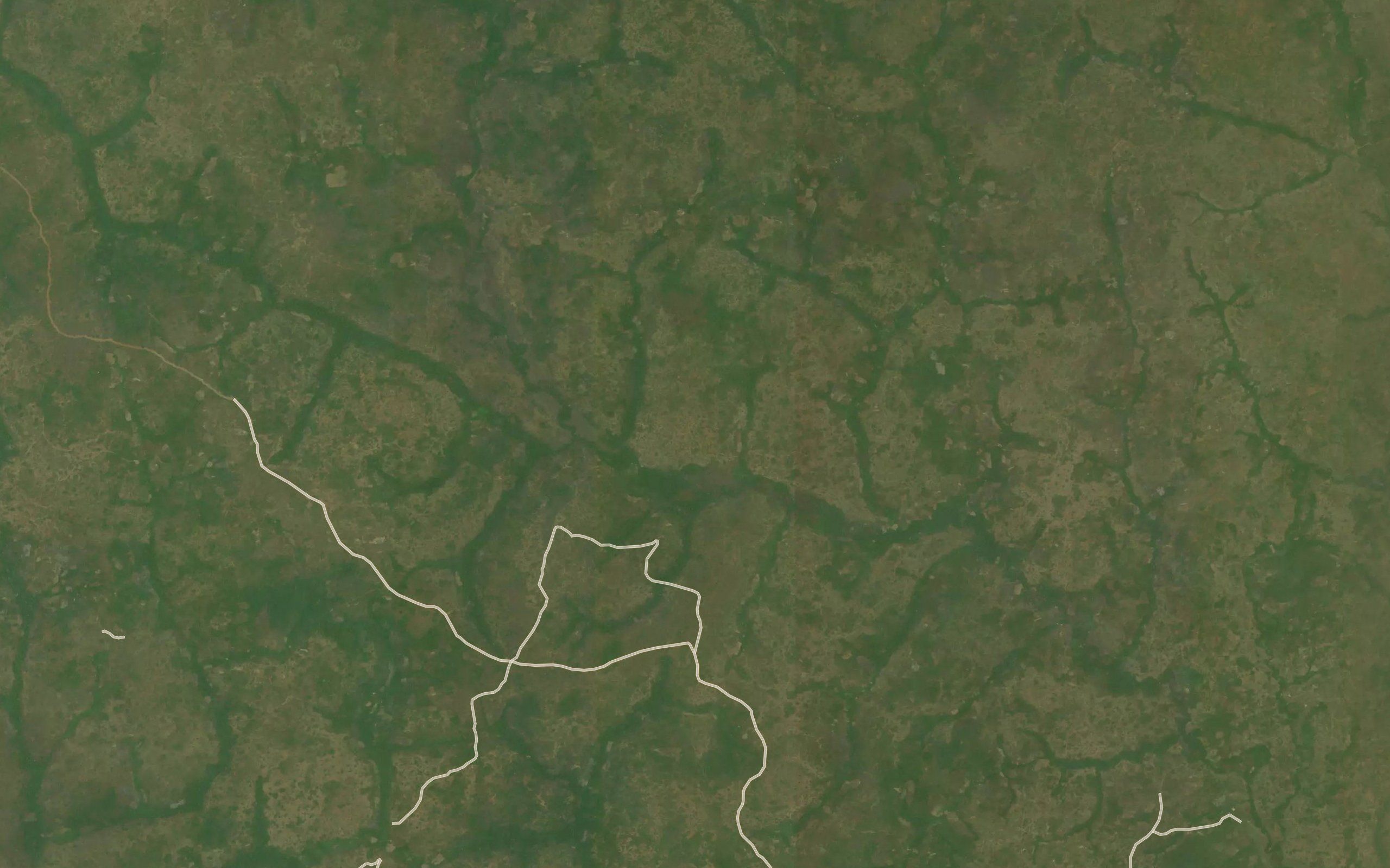 Tikango