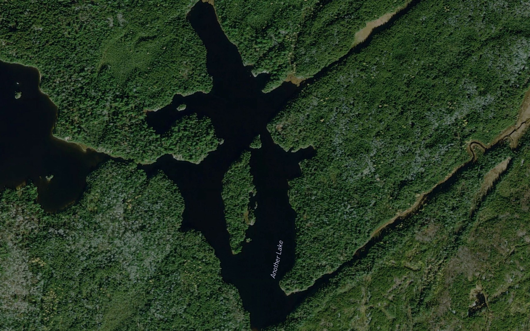 Satellite map of the Another Lake