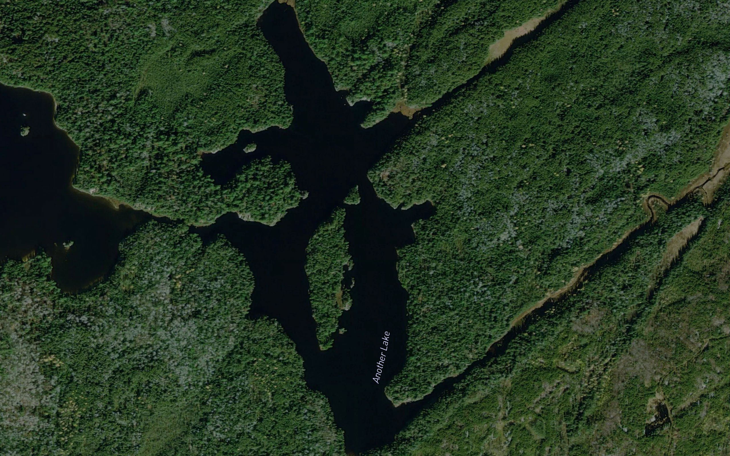 Another Lake