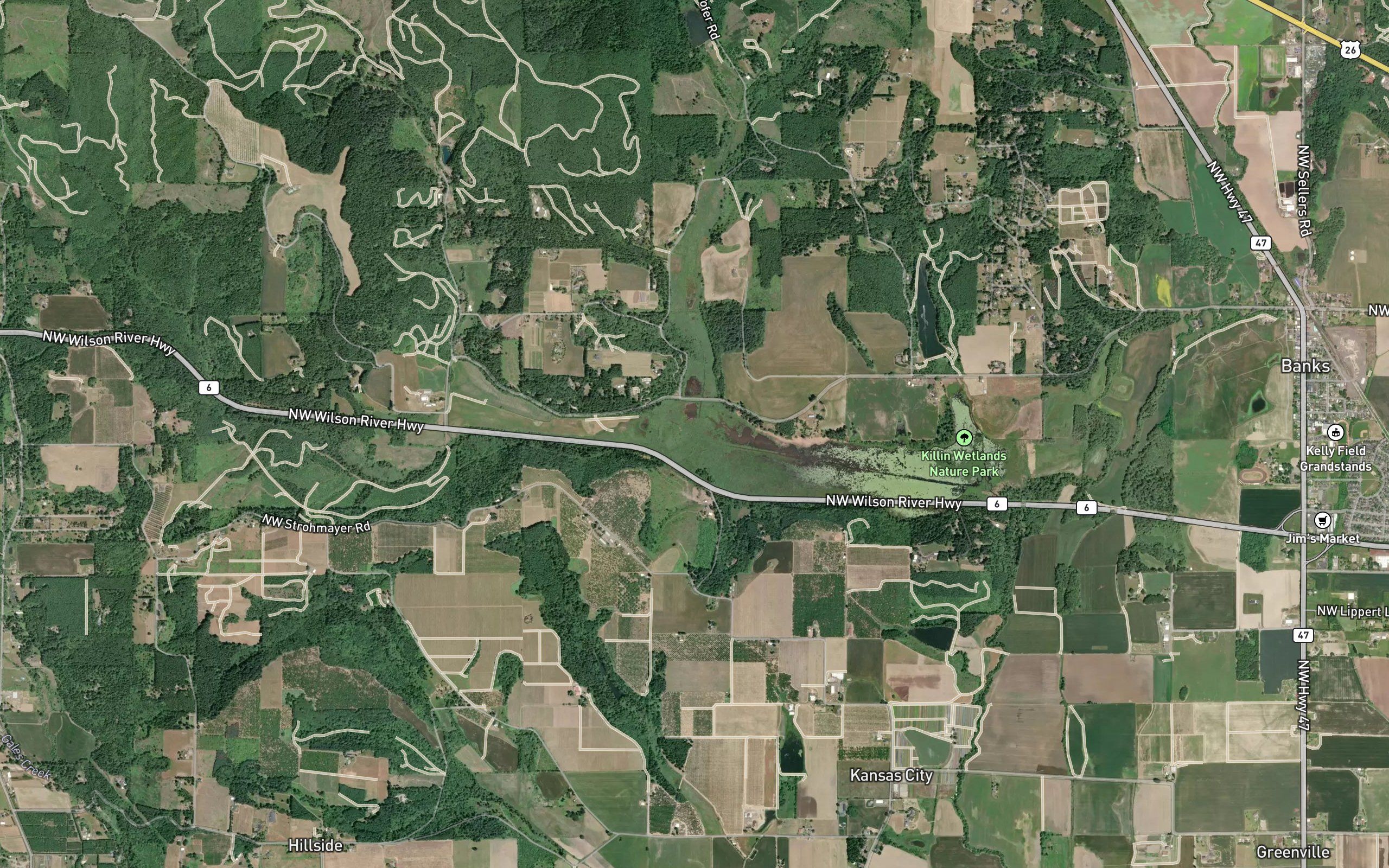 Park Farms Creek