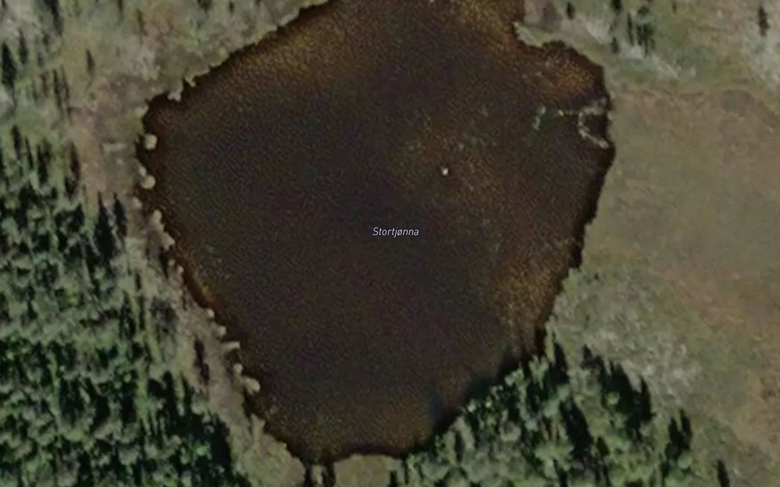Storrtjorna