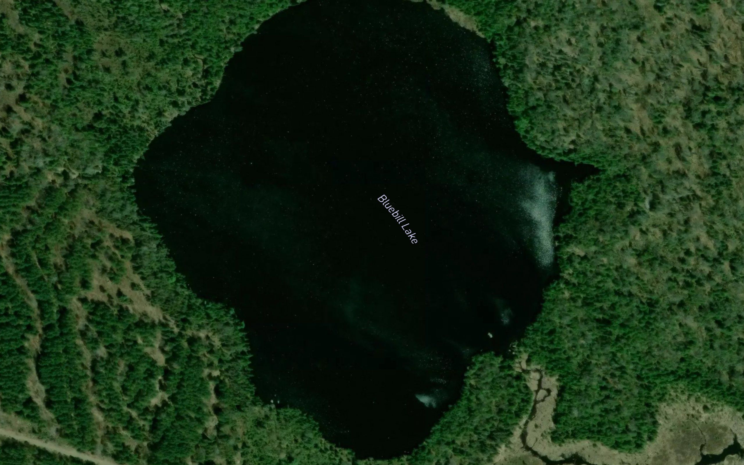 Bluebill Lake