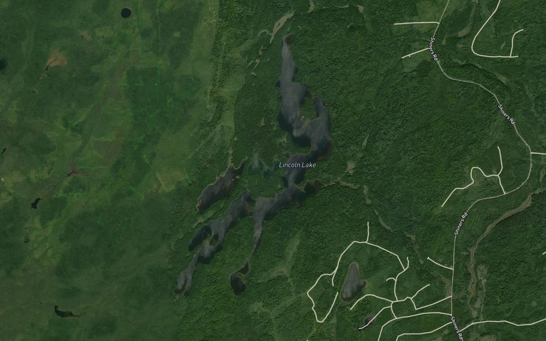 Satellite map of the Lincoln Lake