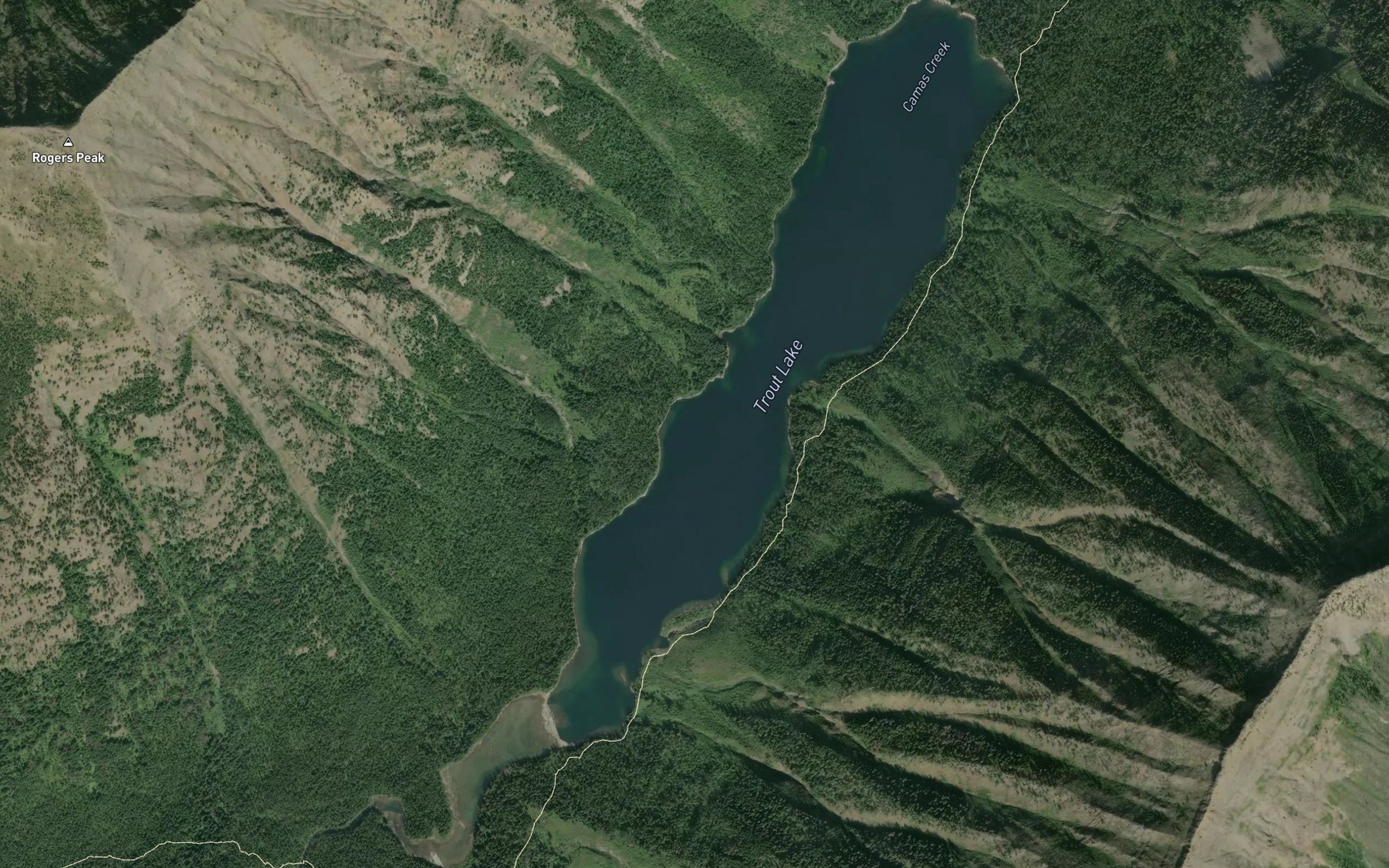 Satellite map of the Trout Lake