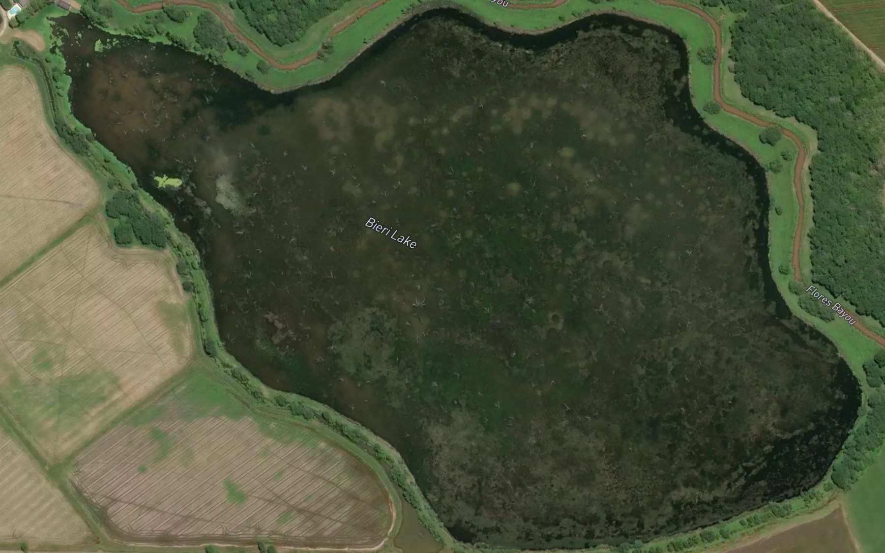 Satellite map of the Bieri Lakes